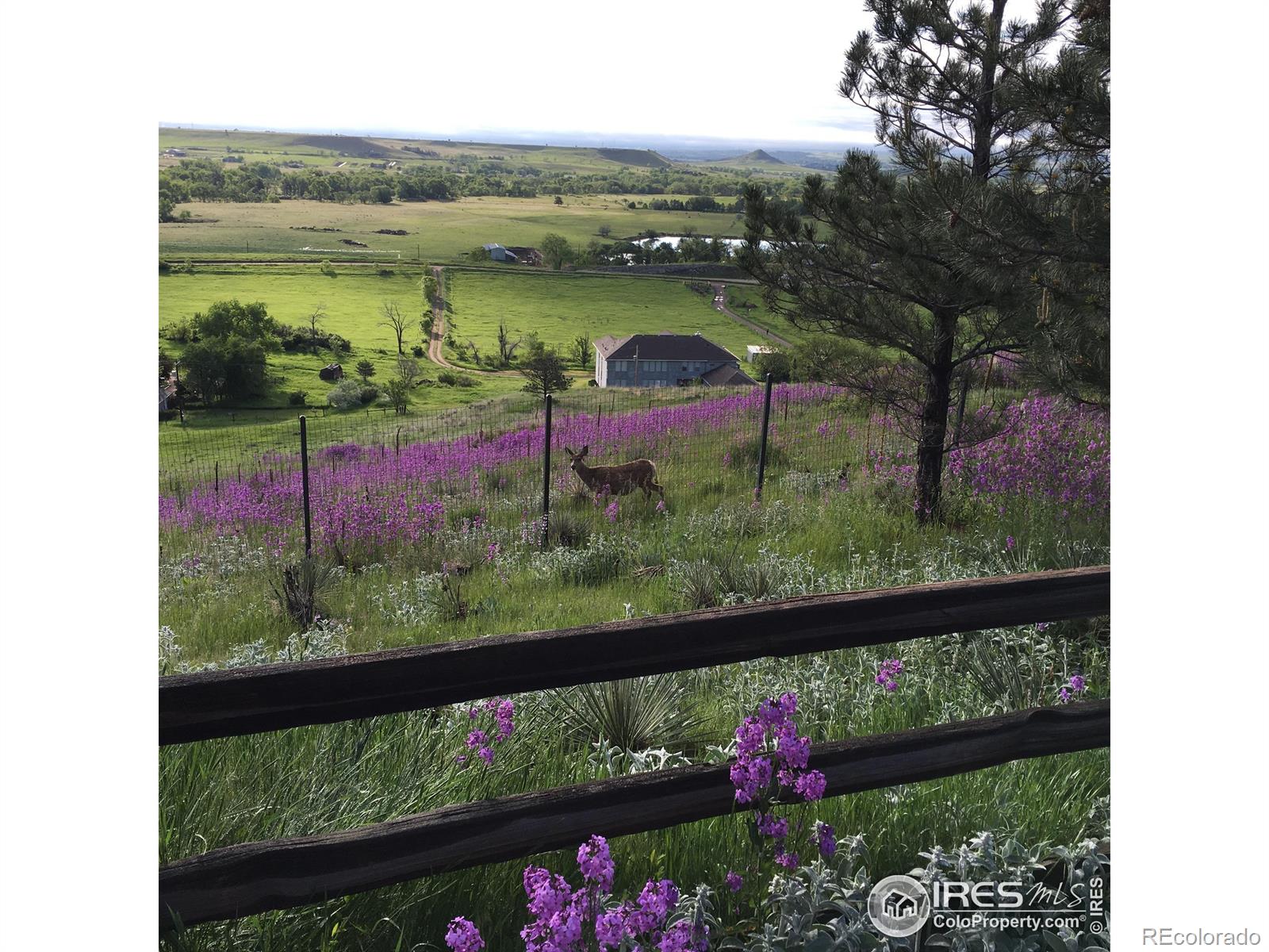 MLS Image #38 for 8400  middle fork road,boulder, Colorado