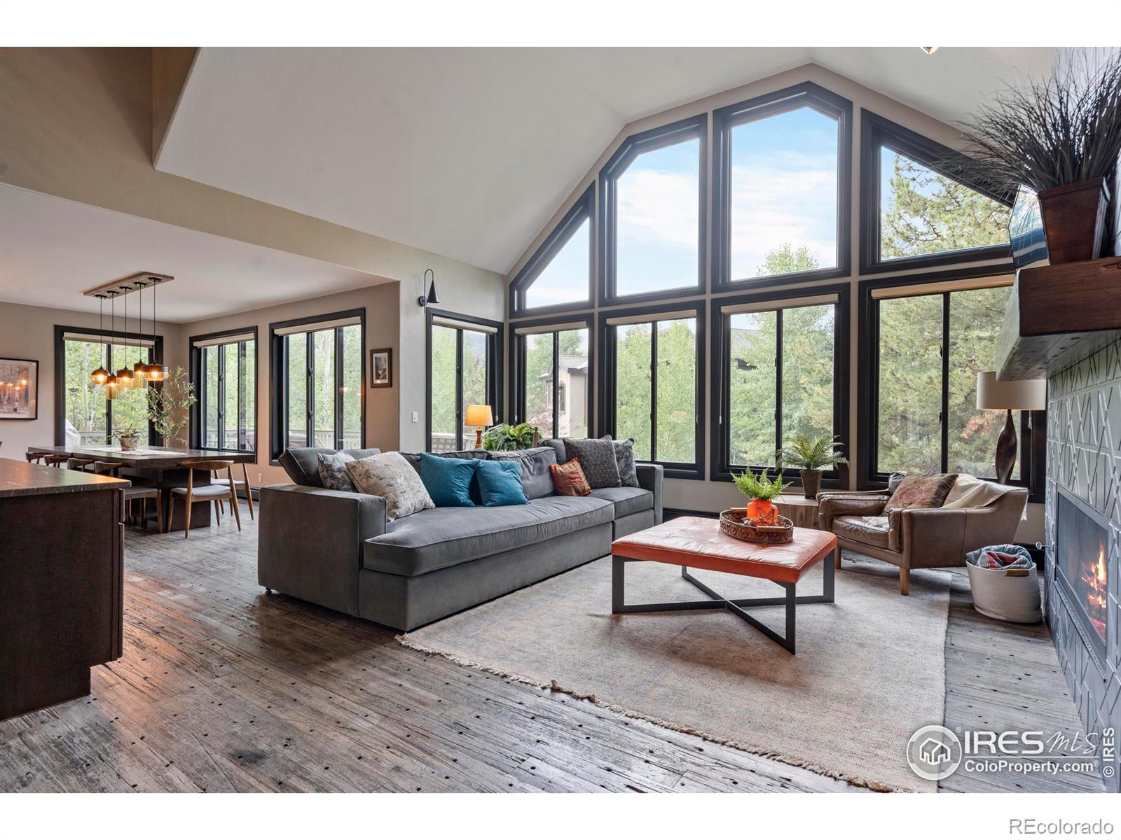 MLS Image #2 for 520  night chant lane,frisco, Colorado