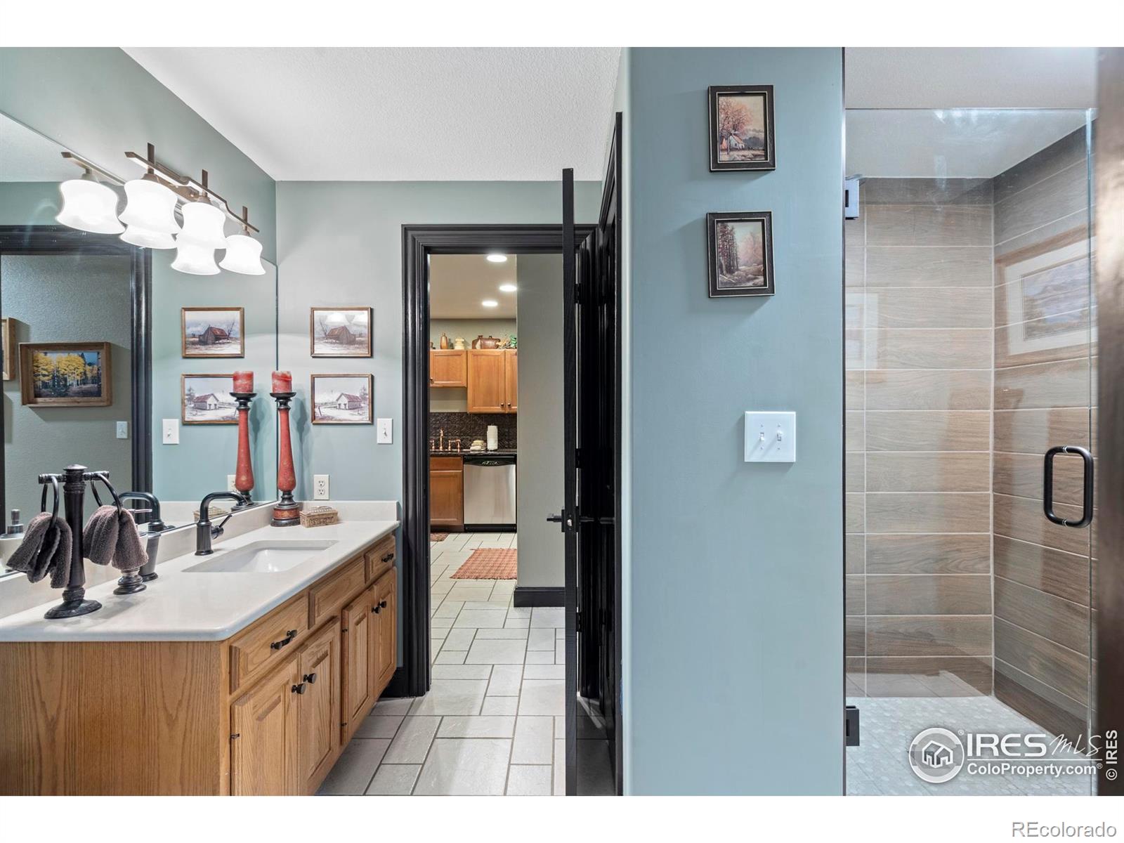 MLS Image #25 for 520  night chant lane,frisco, Colorado