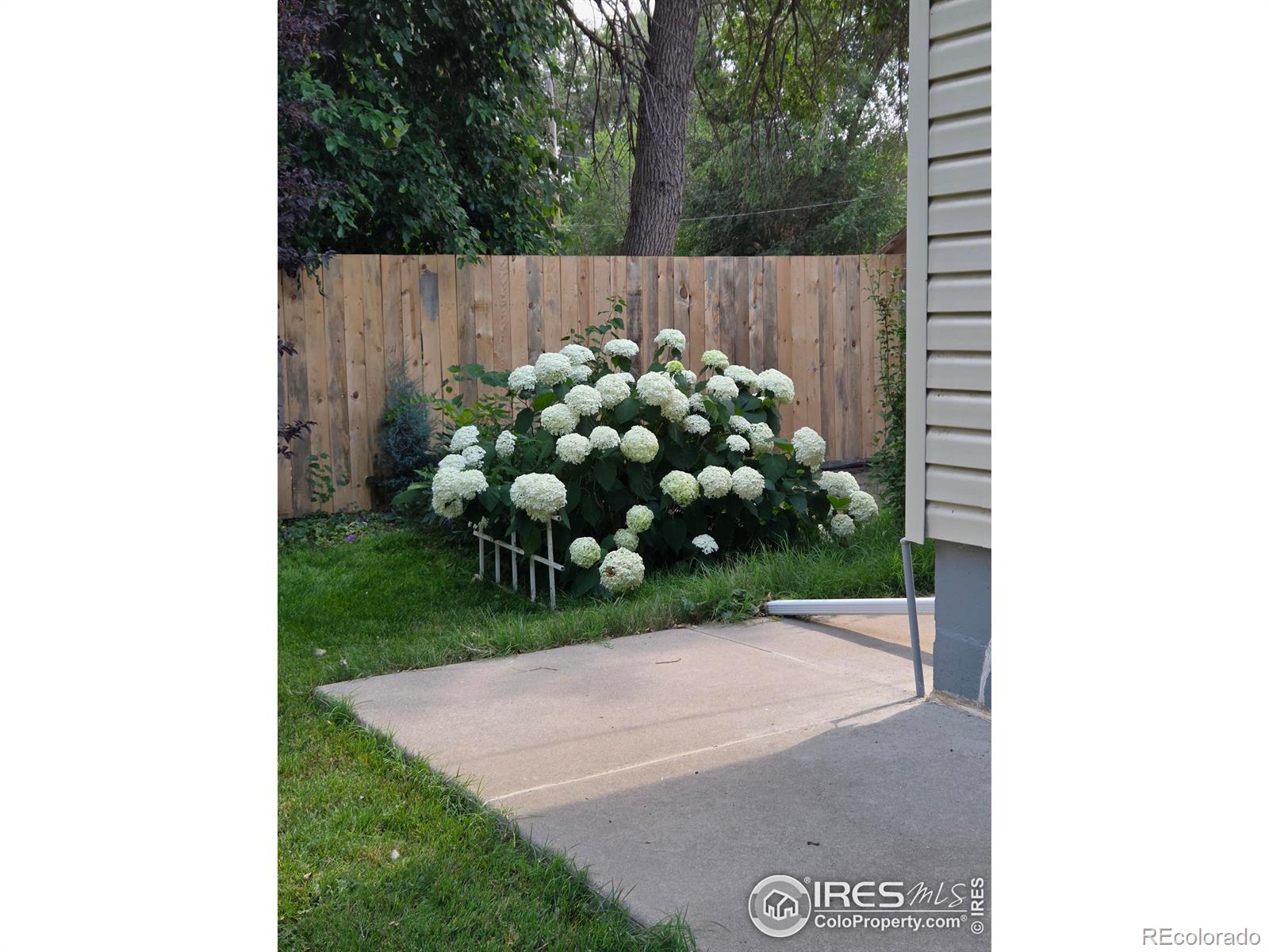 MLS Image #23 for 914 n carson street,brush, Colorado