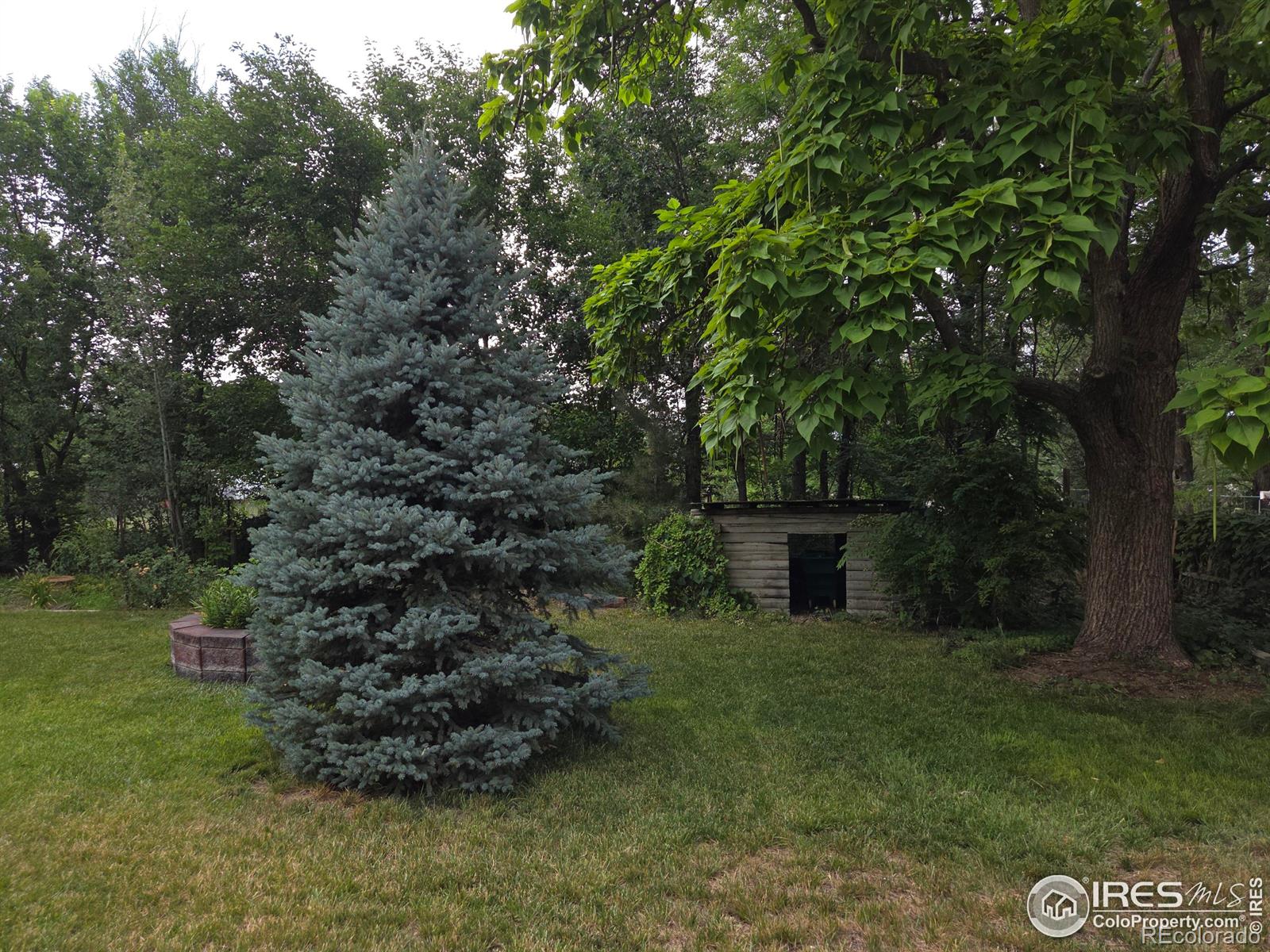 MLS Image #25 for 914 n carson street,brush, Colorado