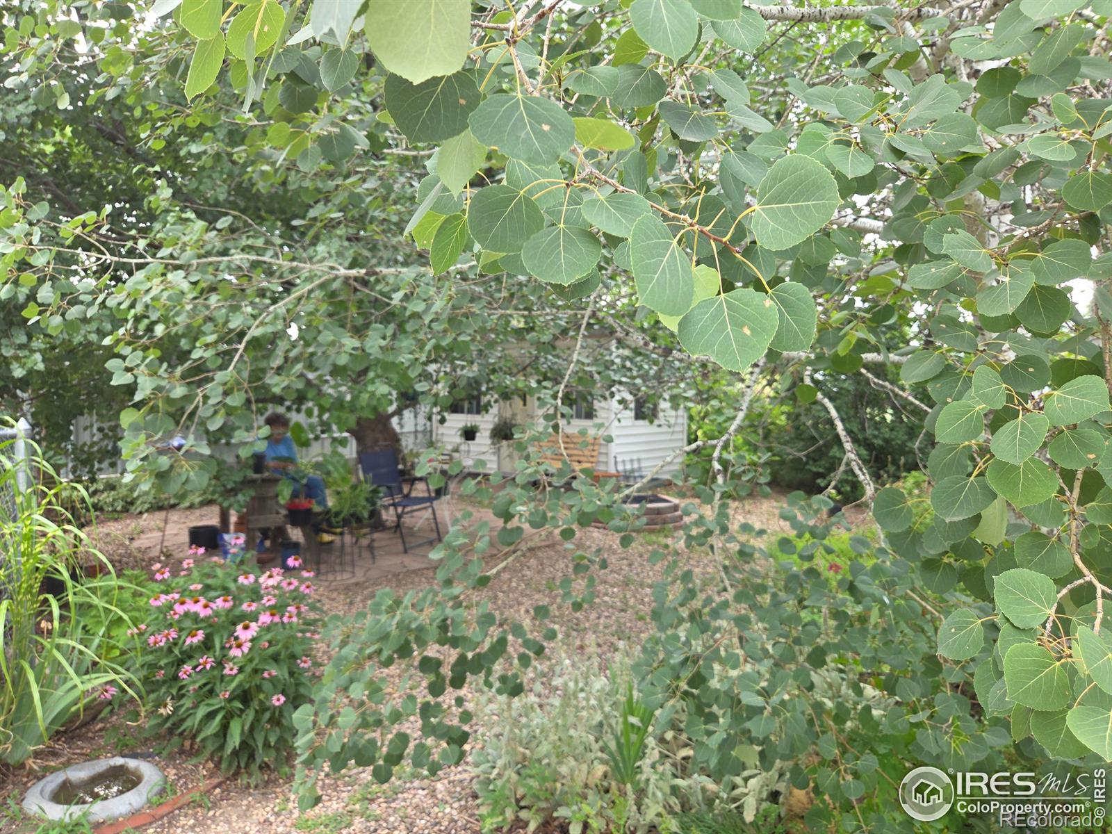 MLS Image #29 for 914 n carson street,brush, Colorado