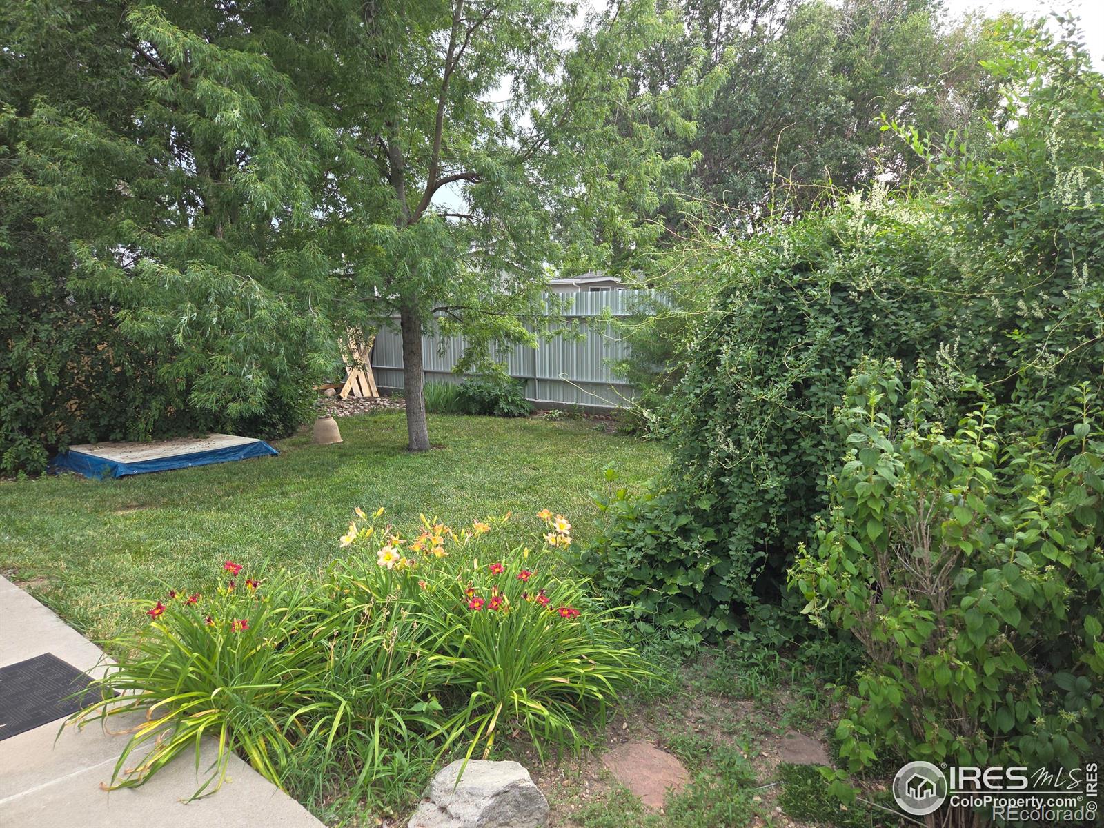 MLS Image #31 for 914 n carson street,brush, Colorado