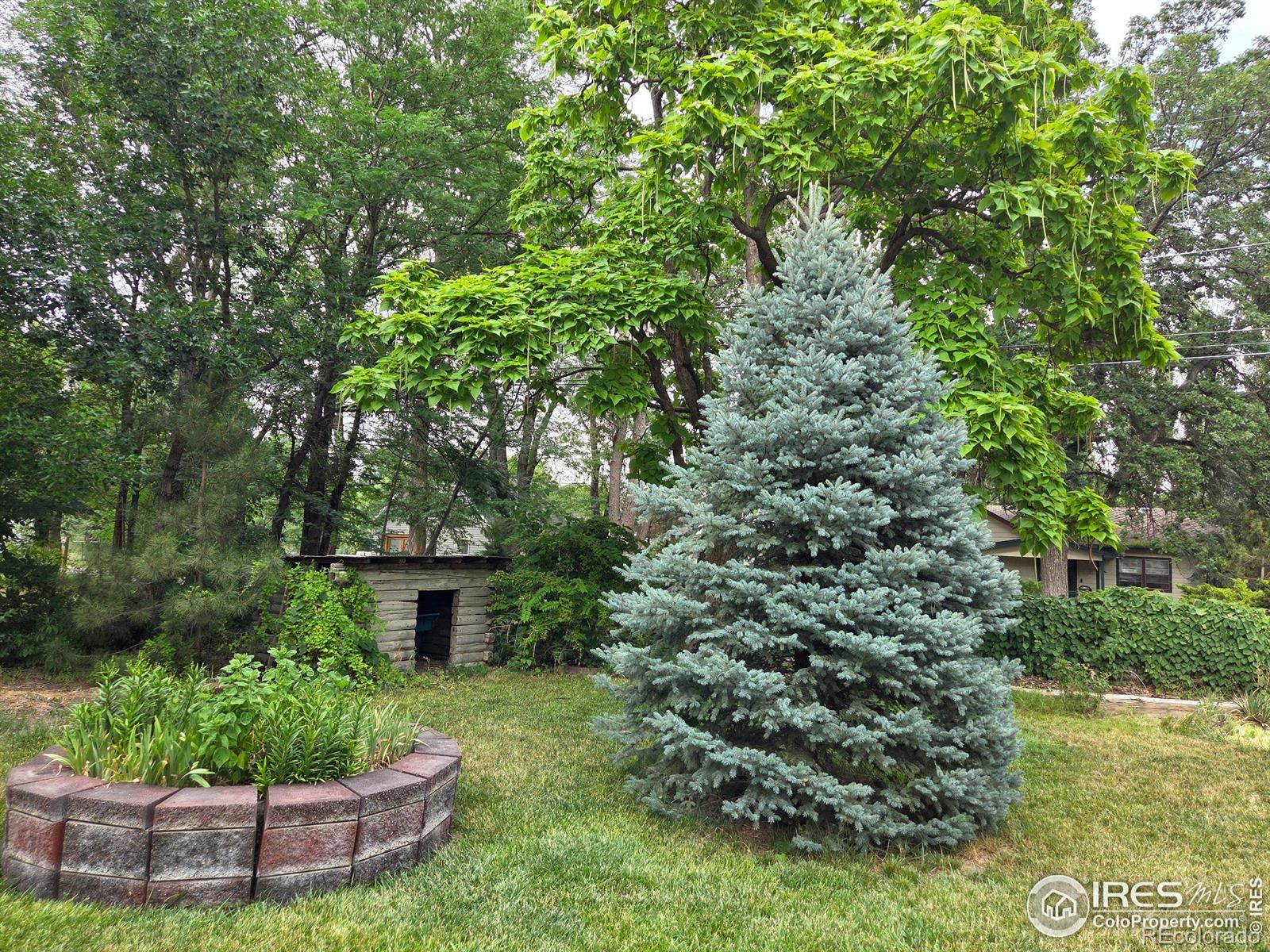 MLS Image #37 for 914 n carson street,brush, Colorado