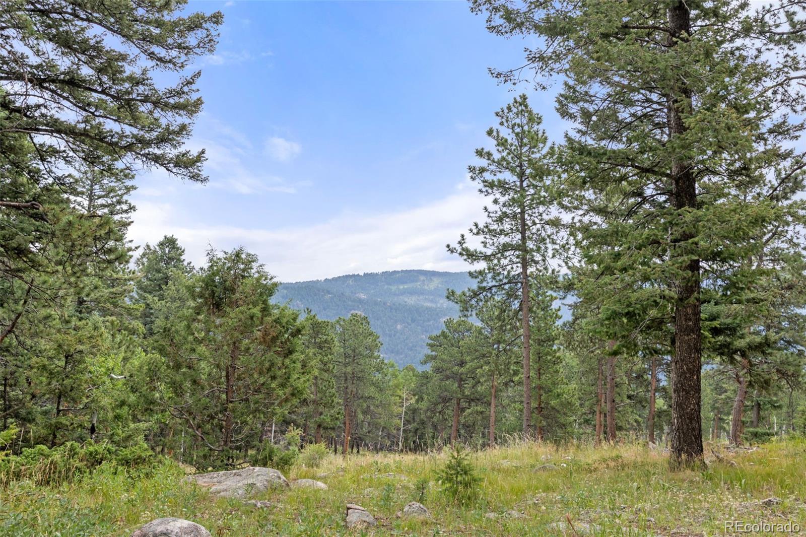 MLS Image #37 for 23805  mormon drive,conifer, Colorado