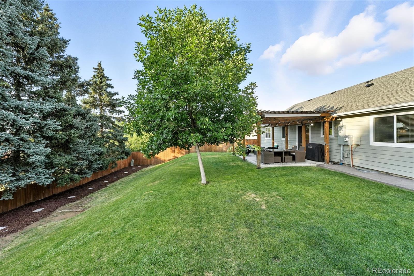 MLS Image #44 for 7051 s eudora street,centennial, Colorado