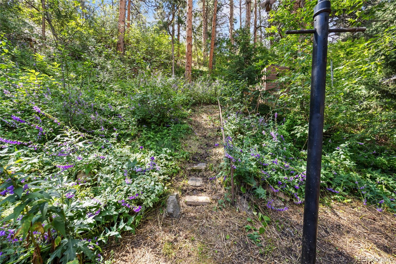 MLS Image #35 for 32  idlewild lane,loveland, Colorado