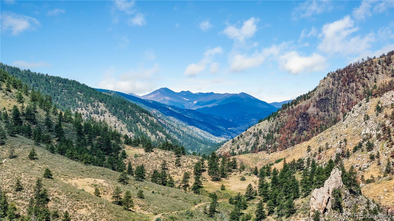 MLS Image #46 for 32  idlewild lane,loveland, Colorado