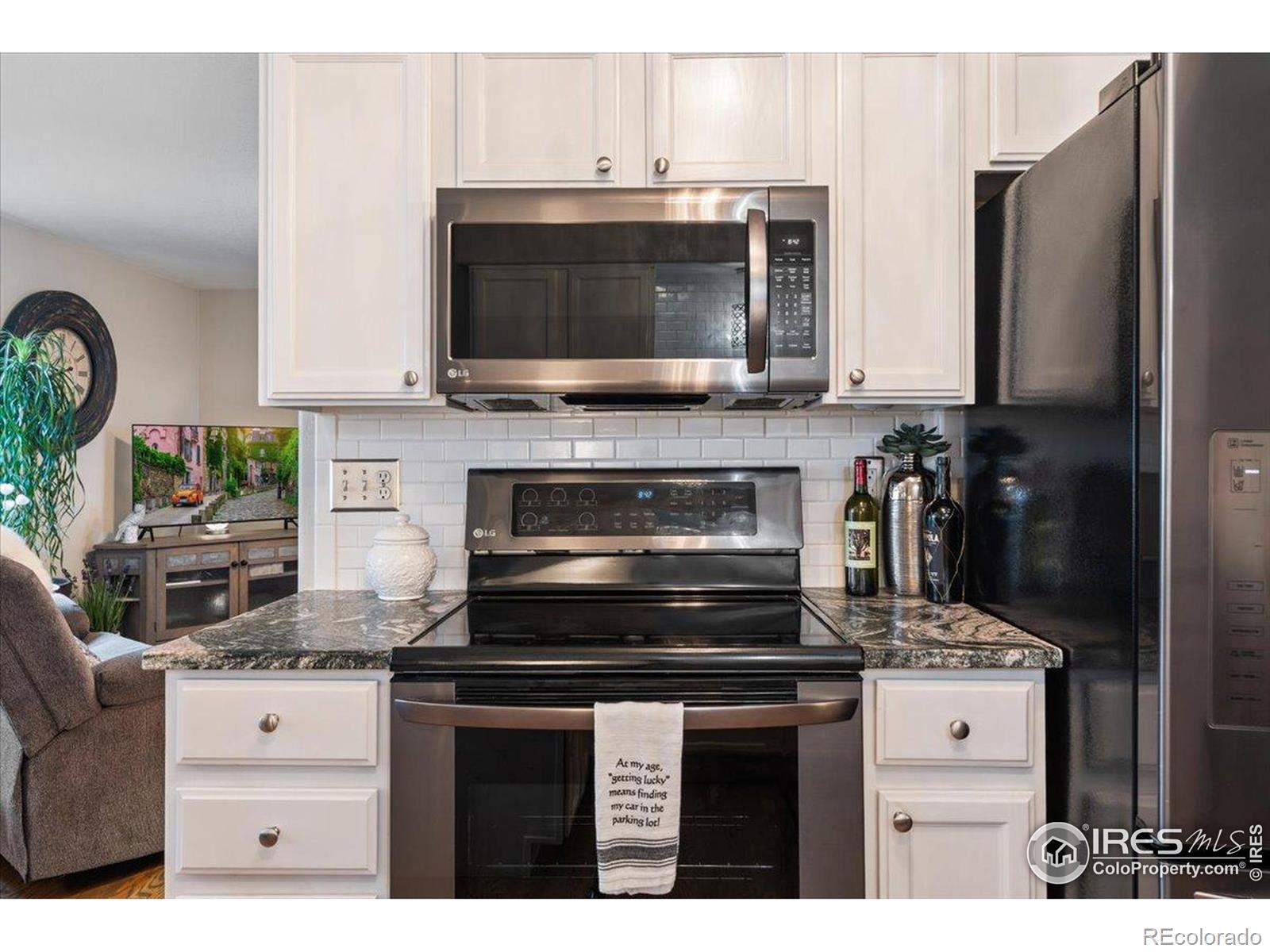 MLS Image #11 for 1006  winona circle,loveland, Colorado