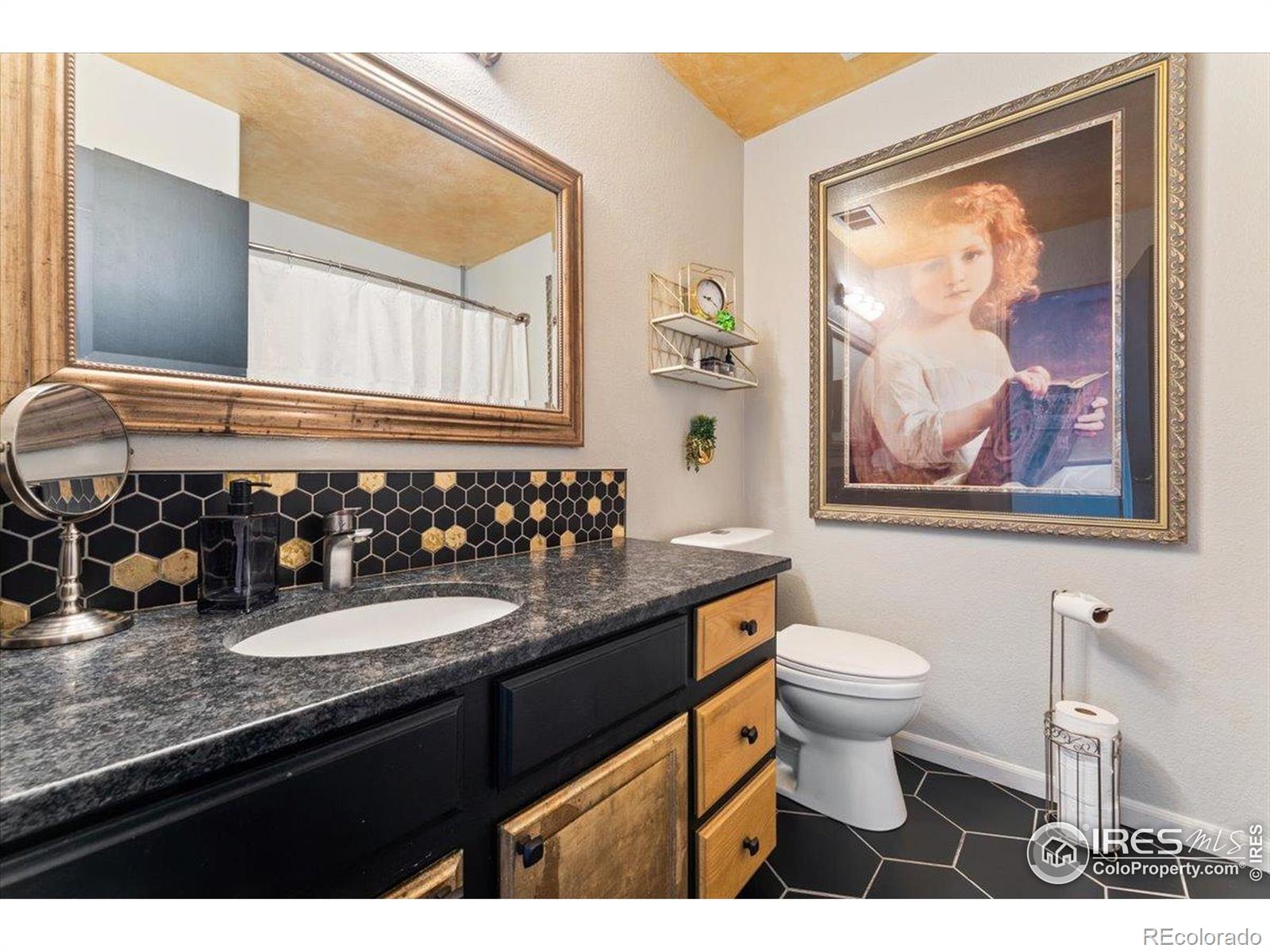 MLS Image #15 for 1006  winona circle,loveland, Colorado