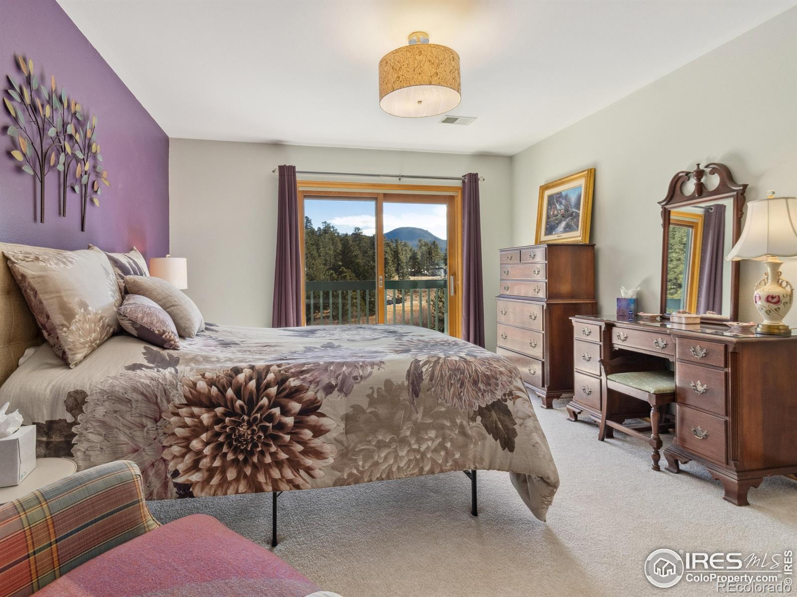MLS Image #17 for 1861  raven avenue,estes park, Colorado