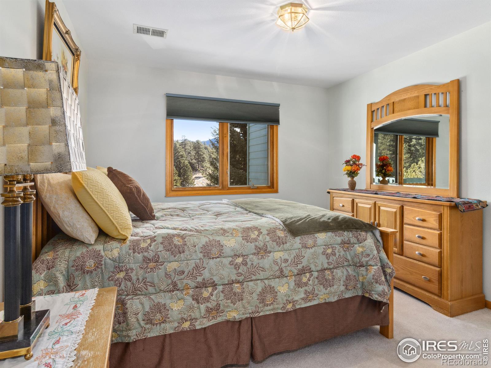 MLS Image #21 for 1861  raven avenue,estes park, Colorado