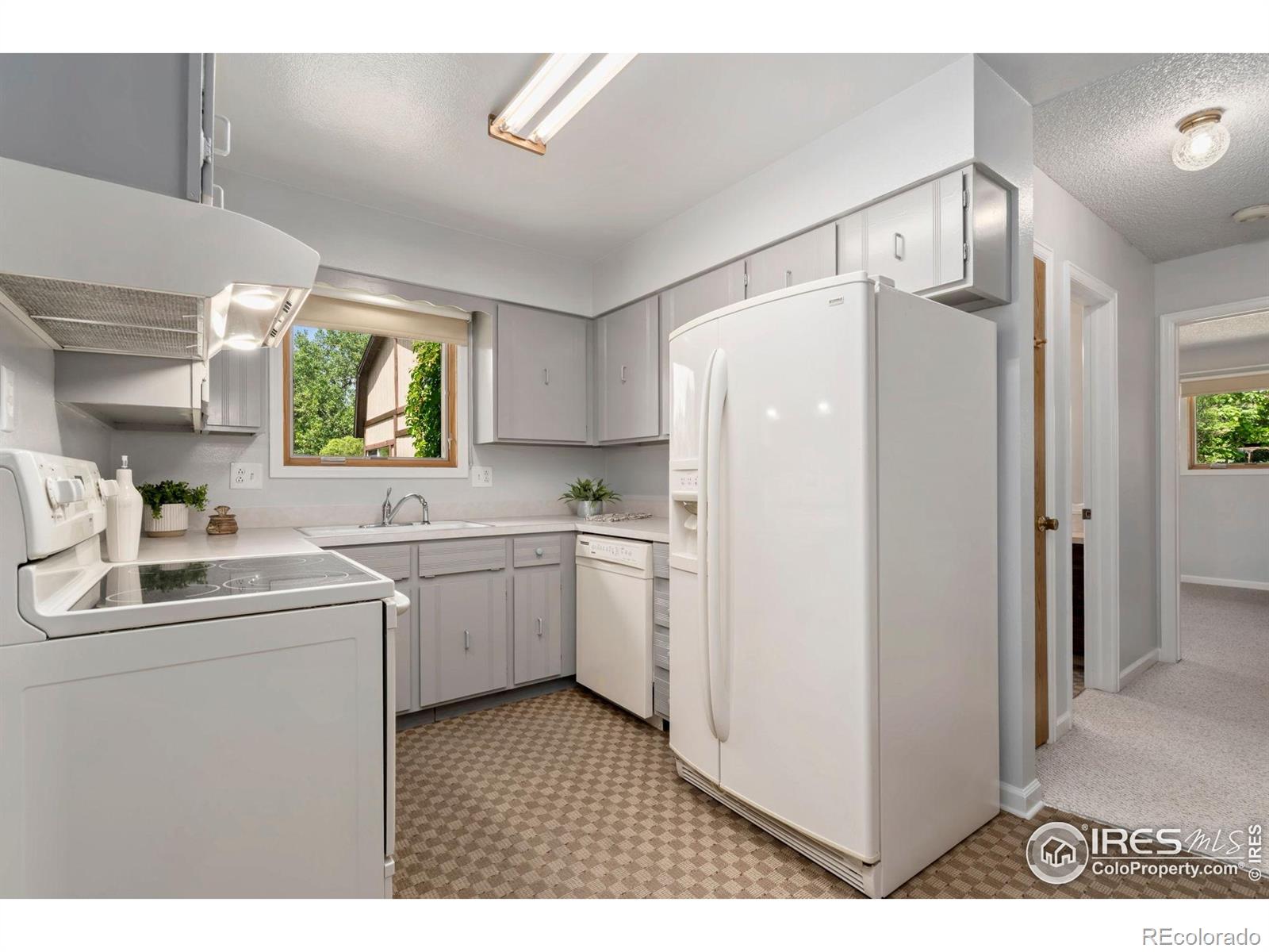MLS Image #14 for 421  camino del mundo ,fort collins, Colorado