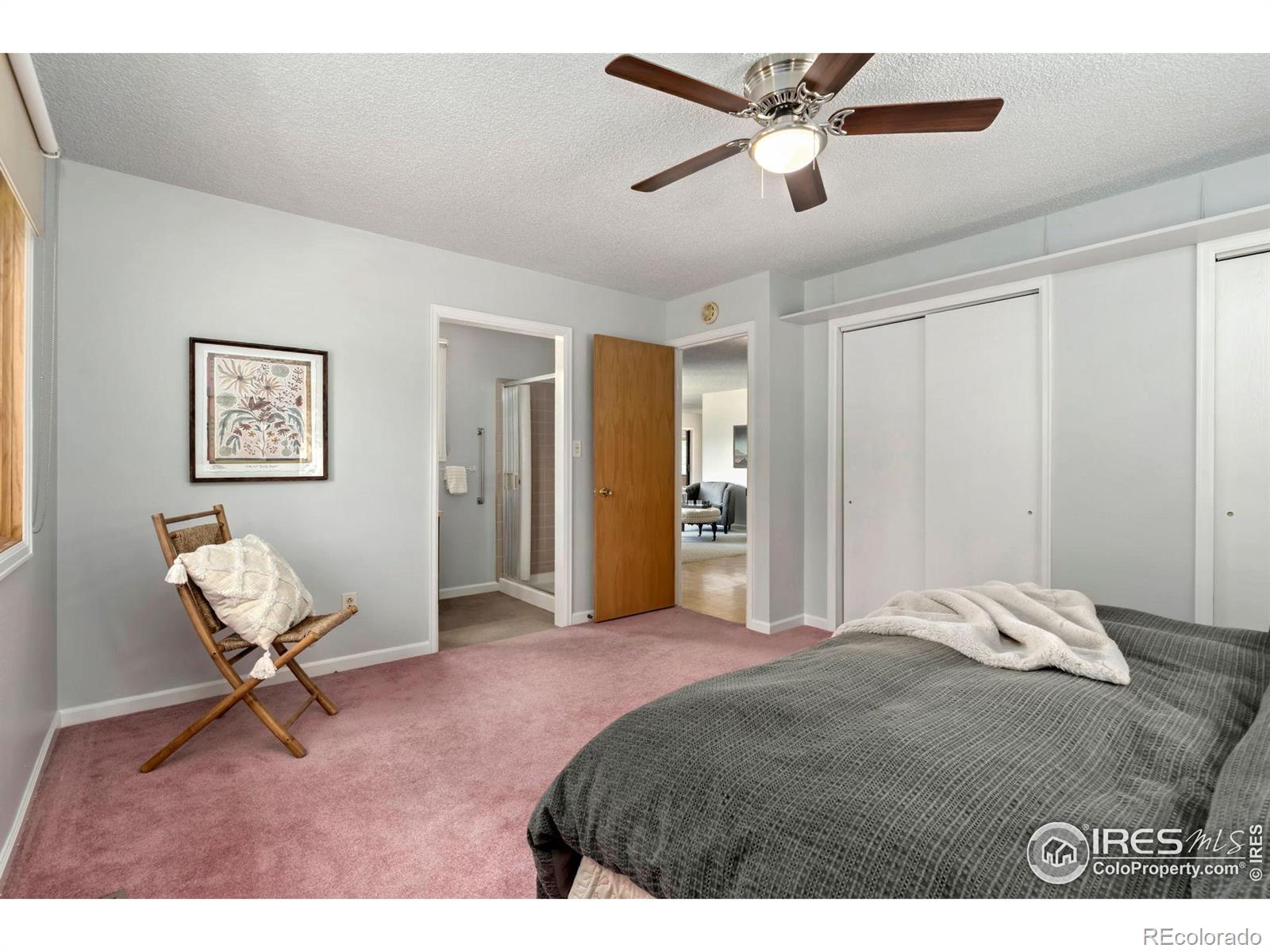 MLS Image #18 for 421  camino del mundo ,fort collins, Colorado