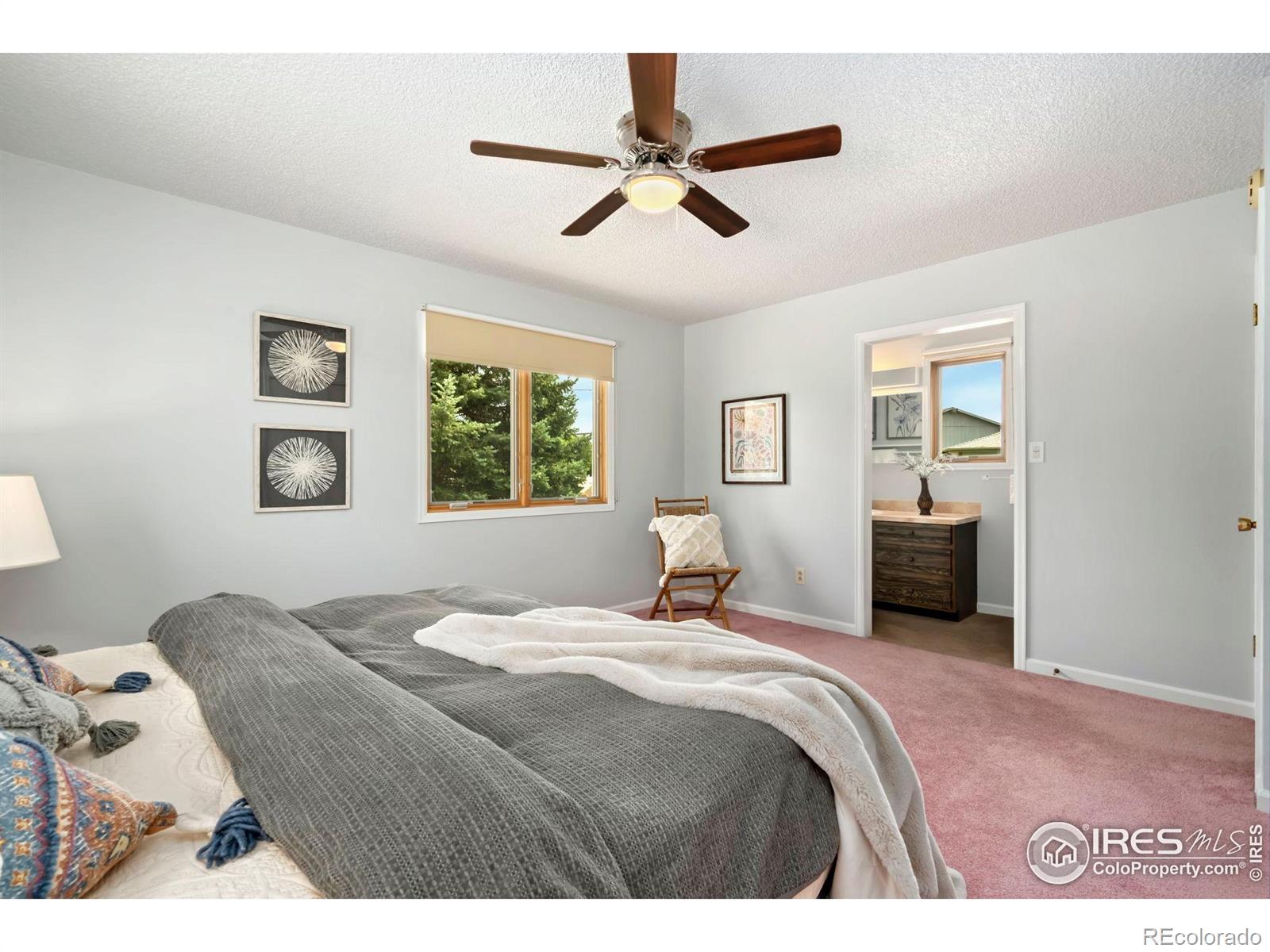 MLS Image #19 for 421  camino del mundo ,fort collins, Colorado