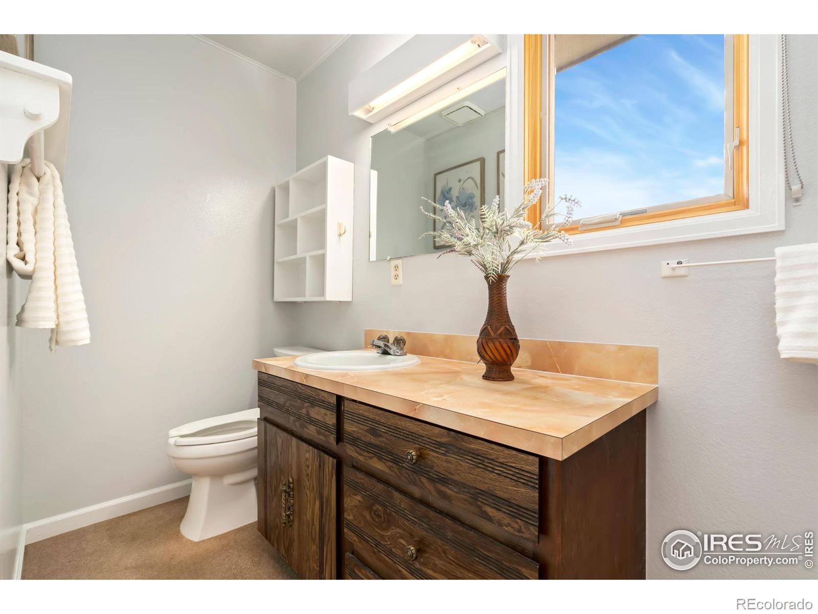 MLS Image #28 for 421  camino del mundo ,fort collins, Colorado