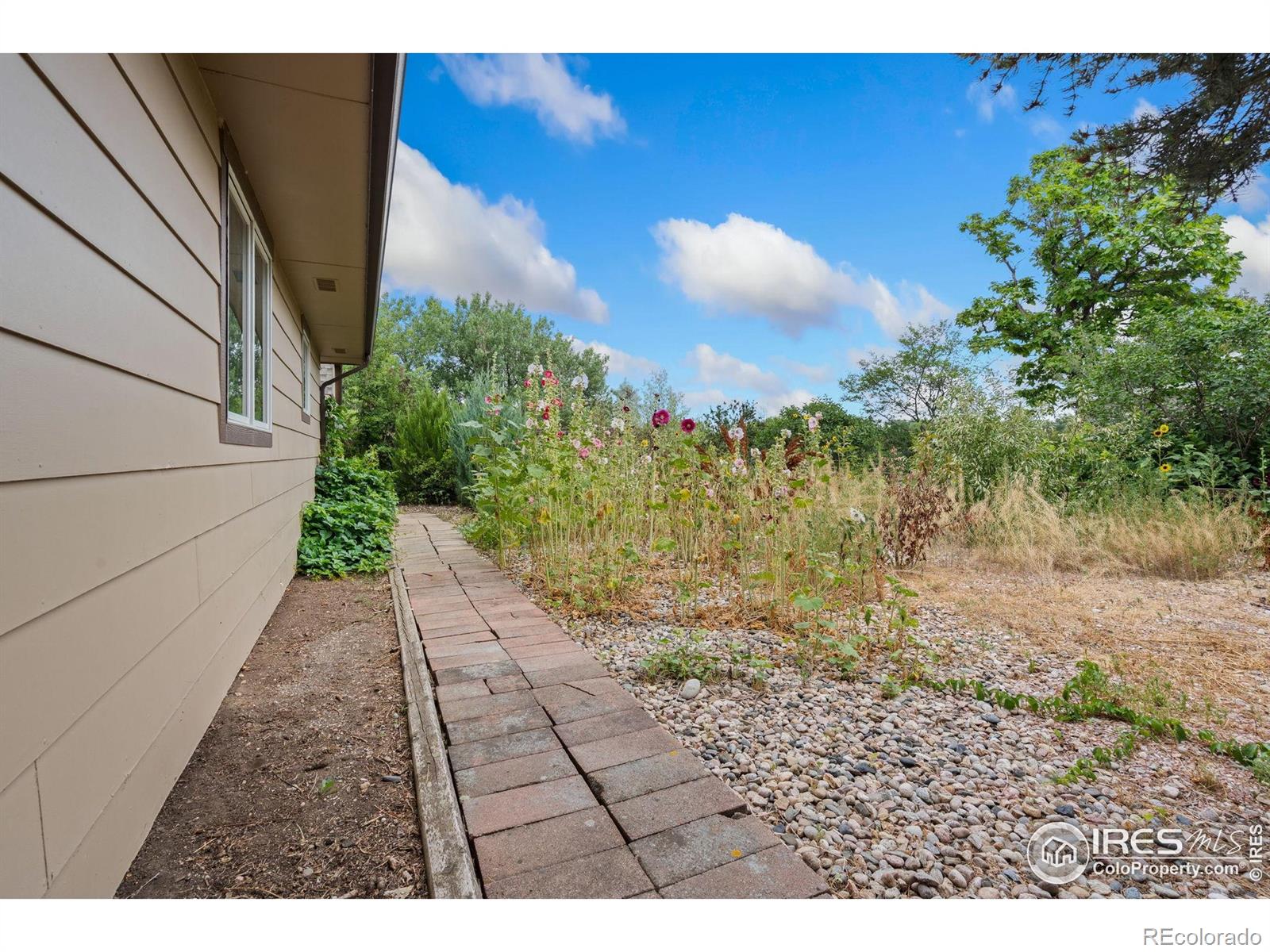 MLS Image #31 for 421  camino del mundo ,fort collins, Colorado