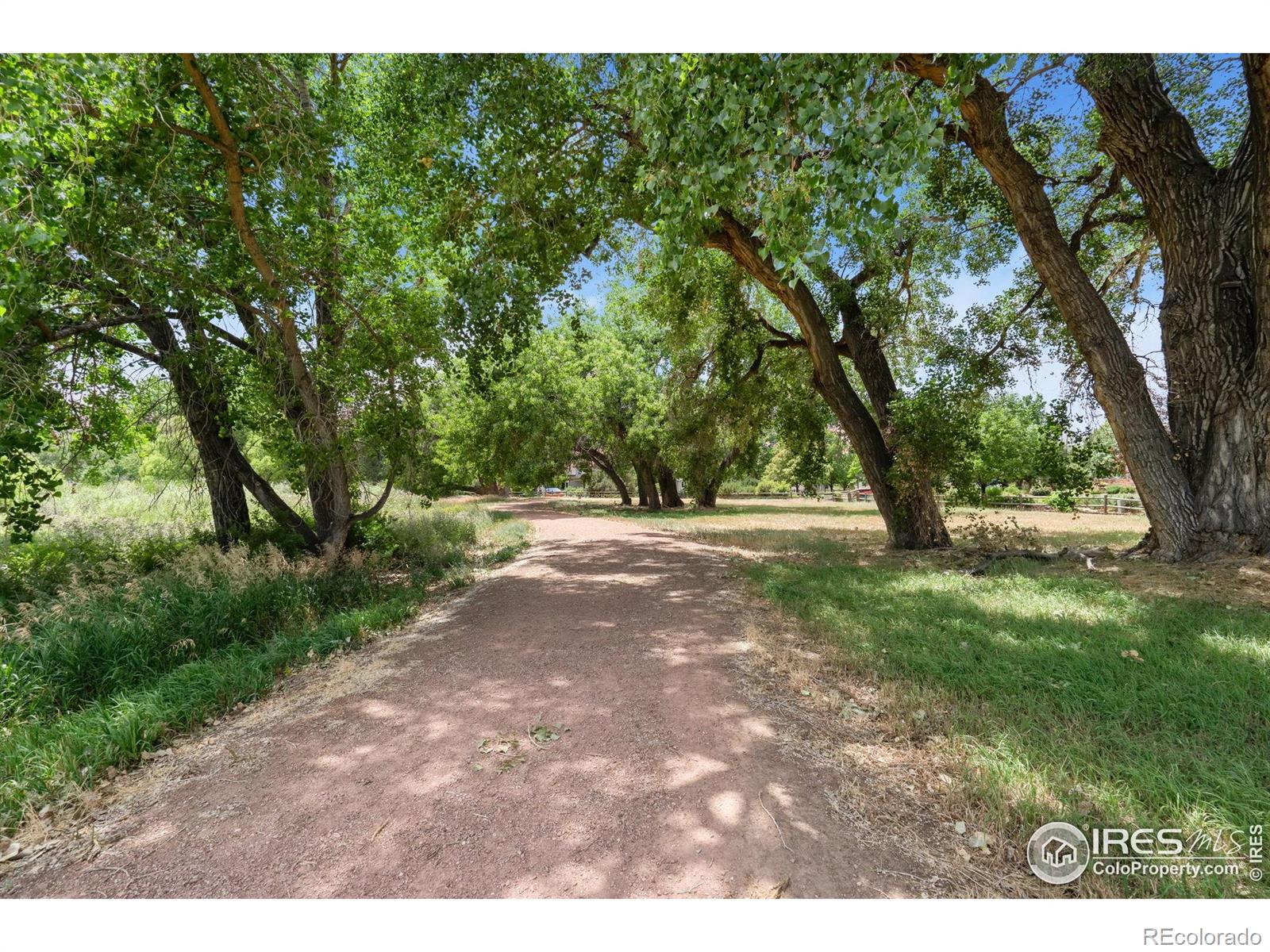 MLS Image #38 for 421  camino del mundo ,fort collins, Colorado
