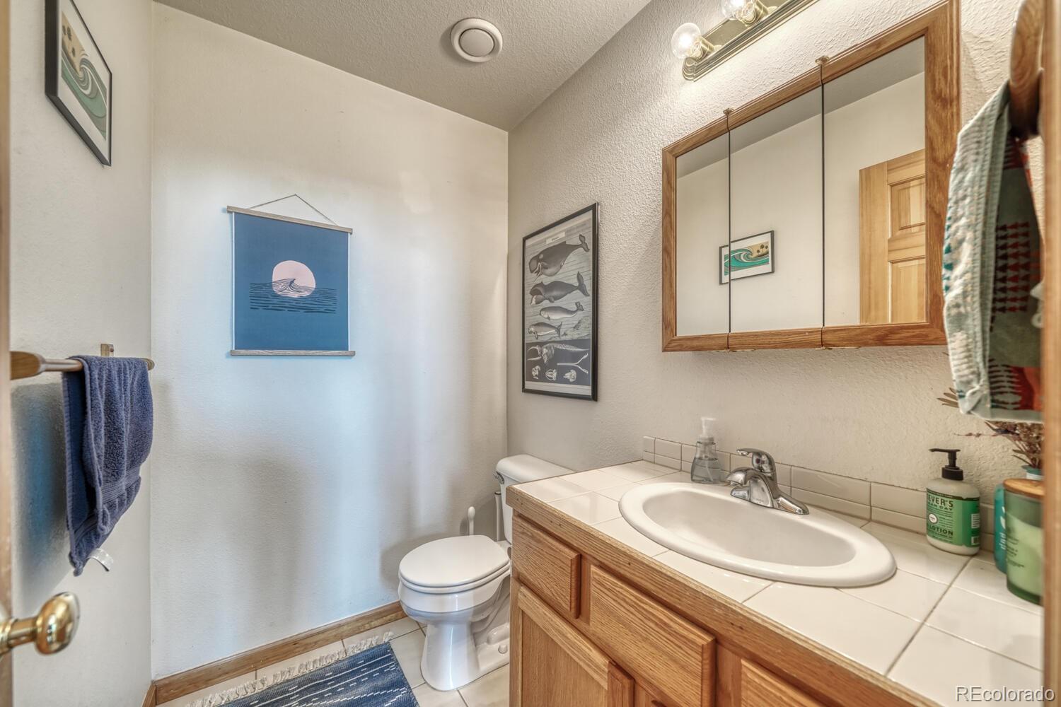 MLS Image #10 for 50  ridge lane,bailey, Colorado