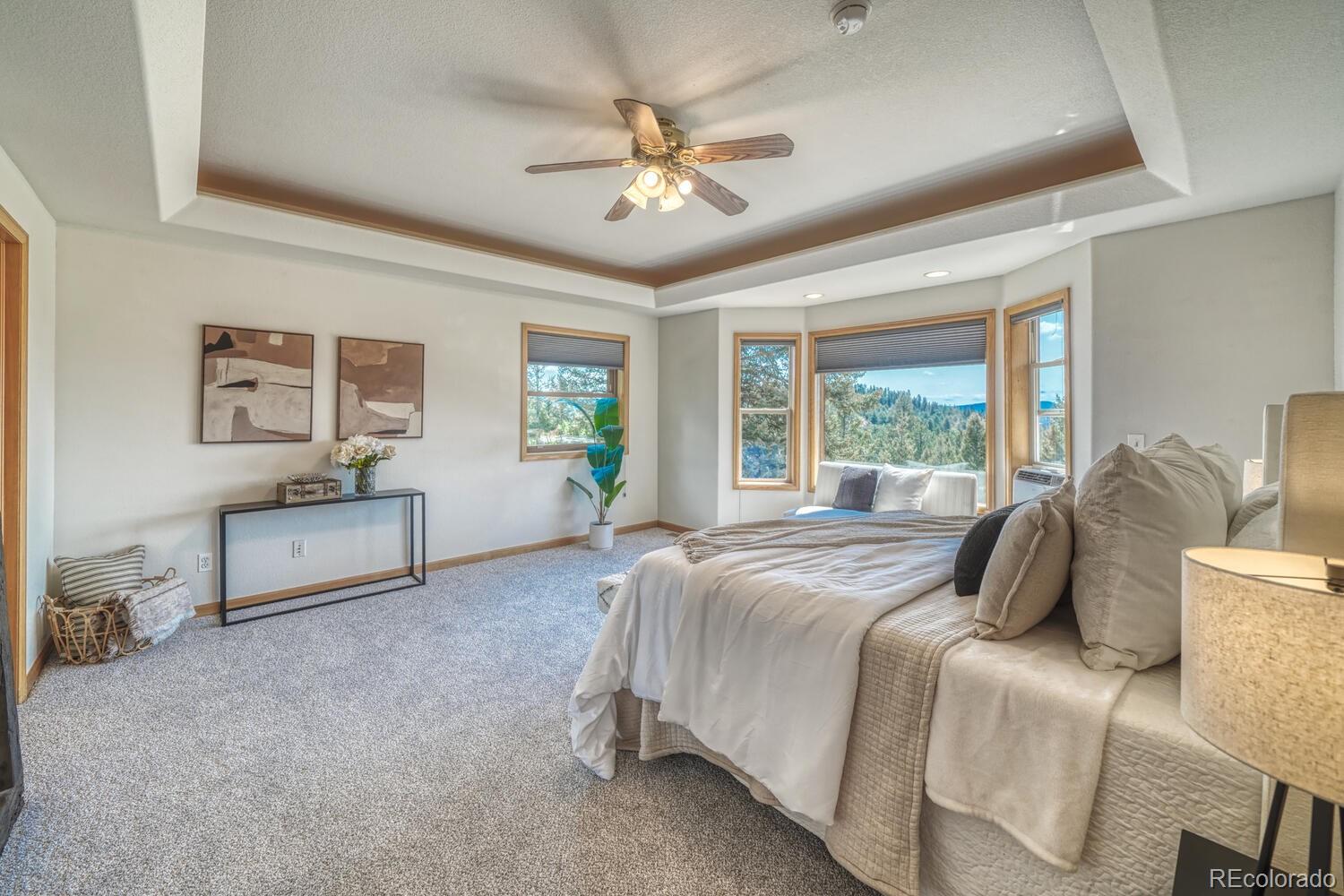 MLS Image #11 for 50  ridge lane,bailey, Colorado