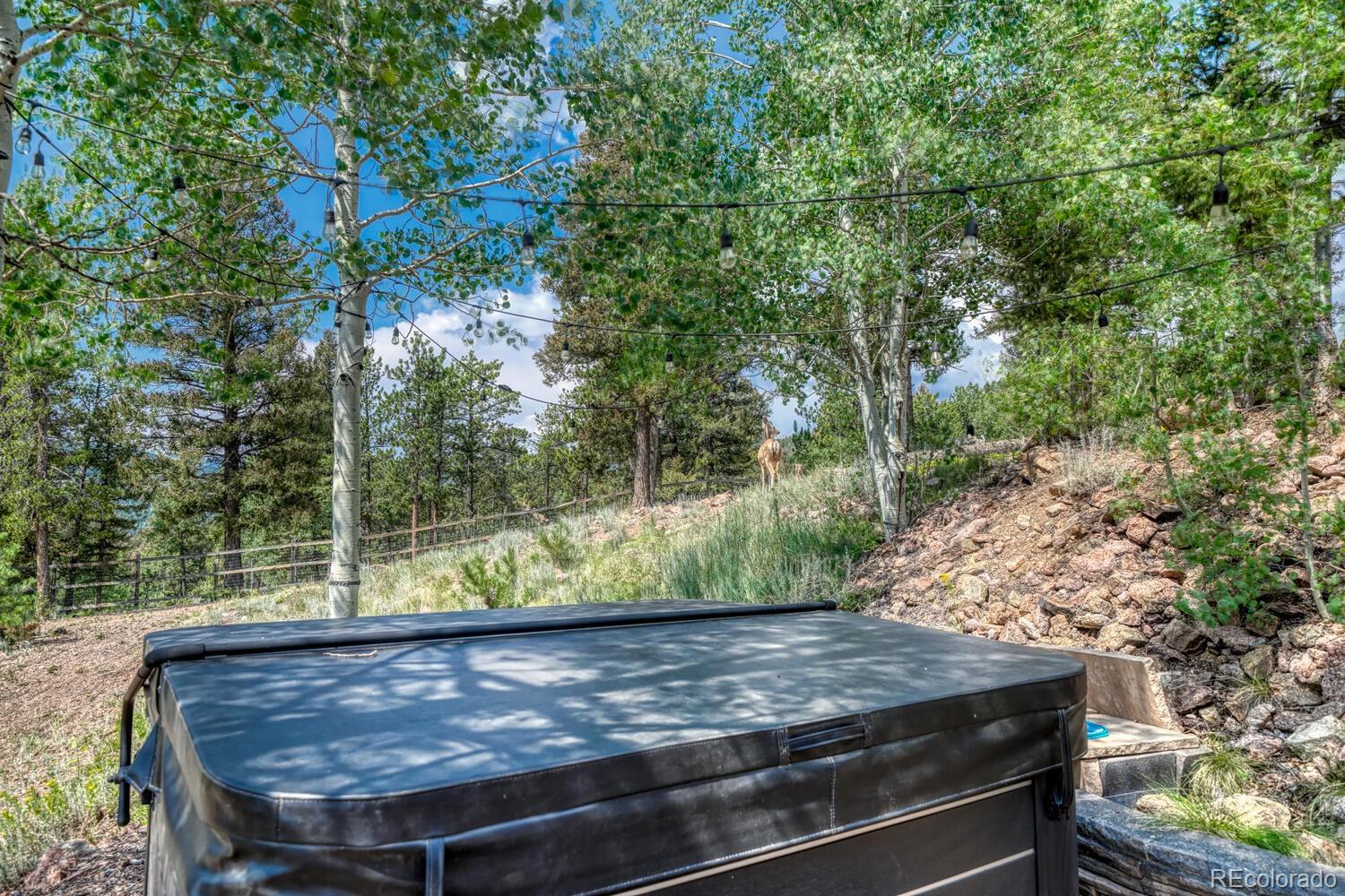 MLS Image #26 for 50  ridge lane,bailey, Colorado