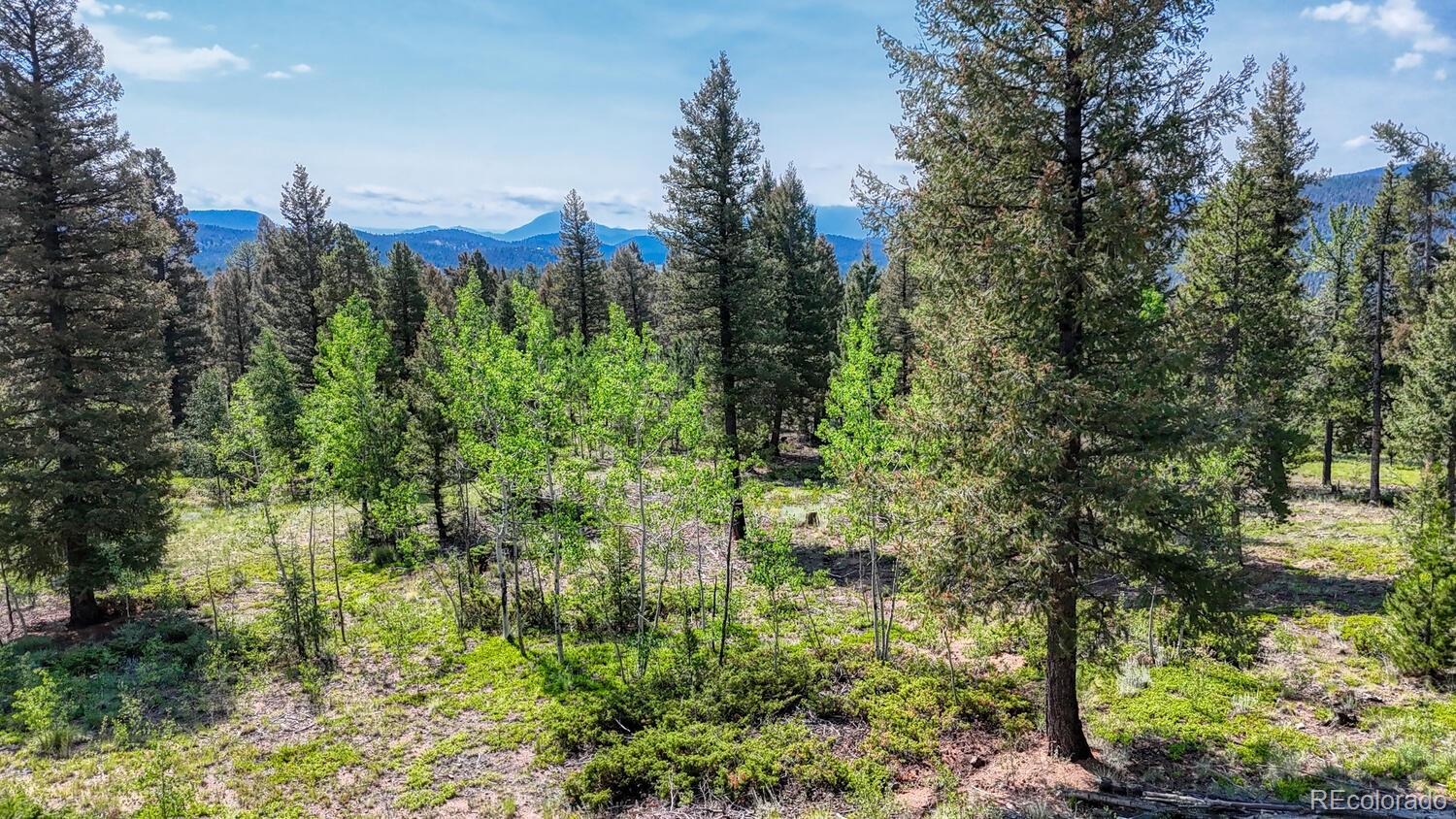 MLS Image #29 for 50  ridge lane,bailey, Colorado