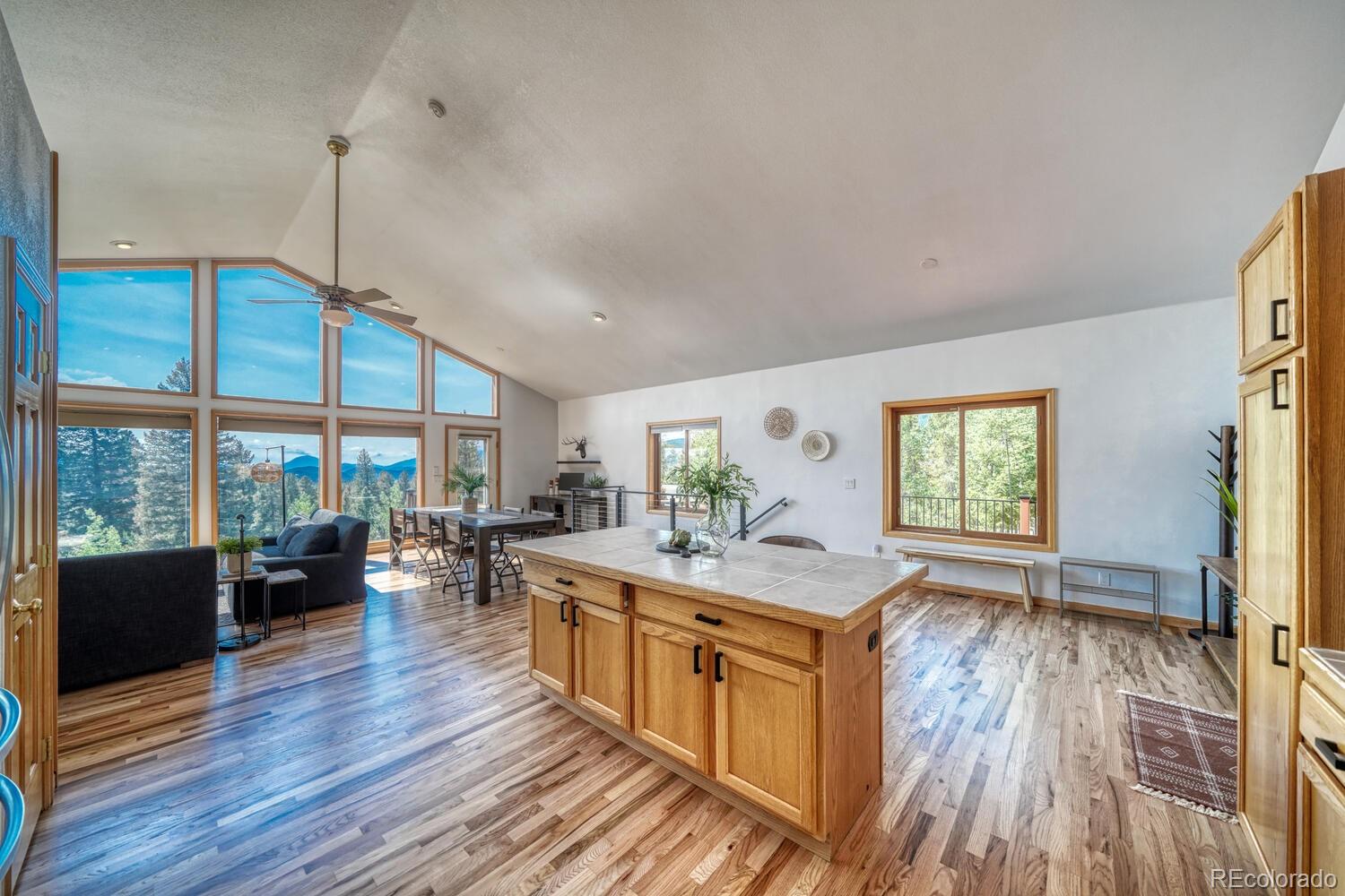 MLS Image #6 for 50  ridge lane,bailey, Colorado