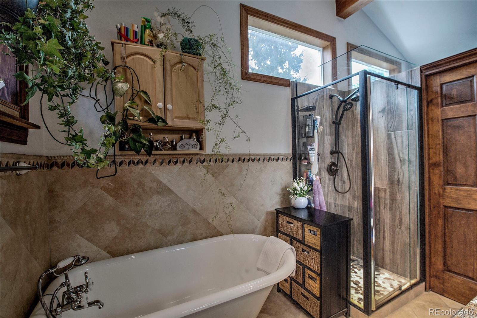 MLS Image #18 for 14  rock springs road,breckenridge, Colorado