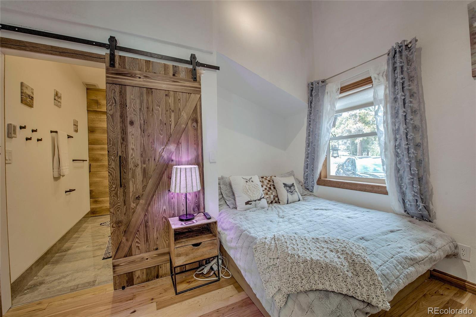 MLS Image #20 for 14  rock springs road,breckenridge, Colorado