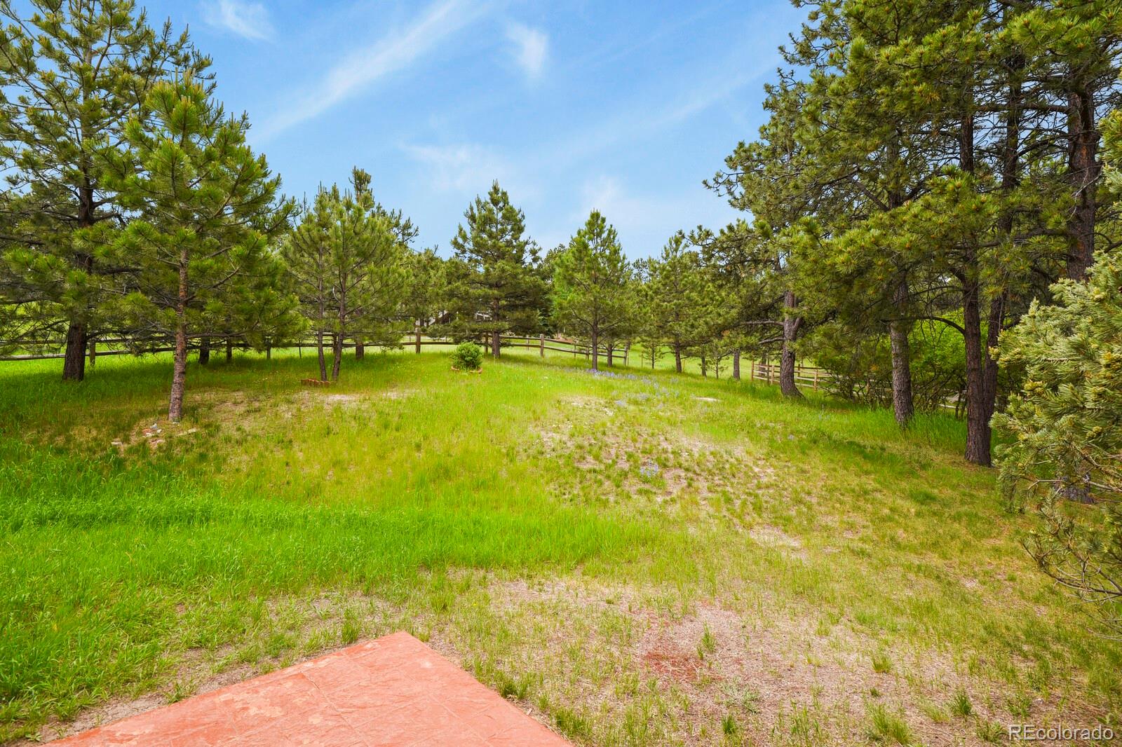 MLS Image #38 for 19085  merry men circle,monument, Colorado