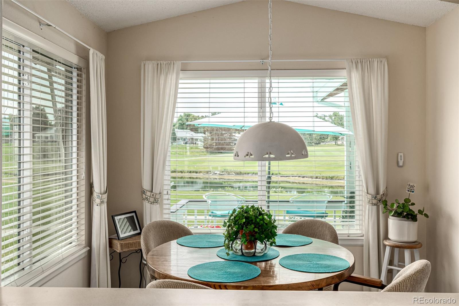 MLS Image #14 for 34  sutherland court,highlands ranch, Colorado