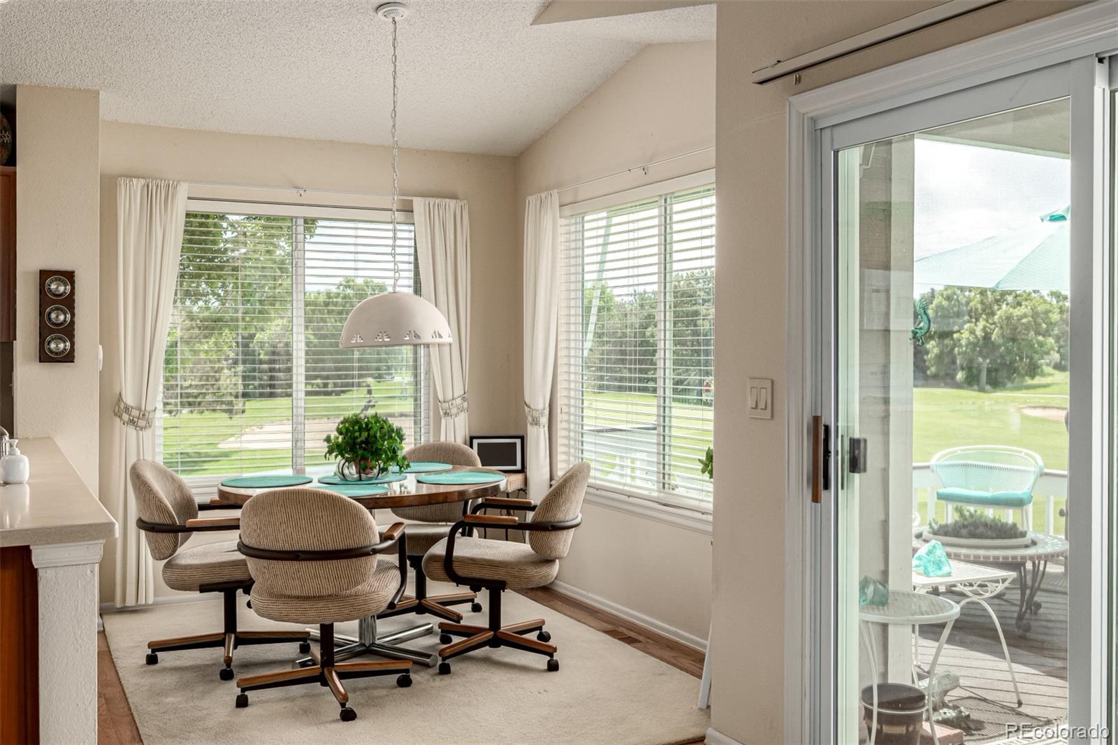 MLS Image #15 for 34  sutherland court,highlands ranch, Colorado