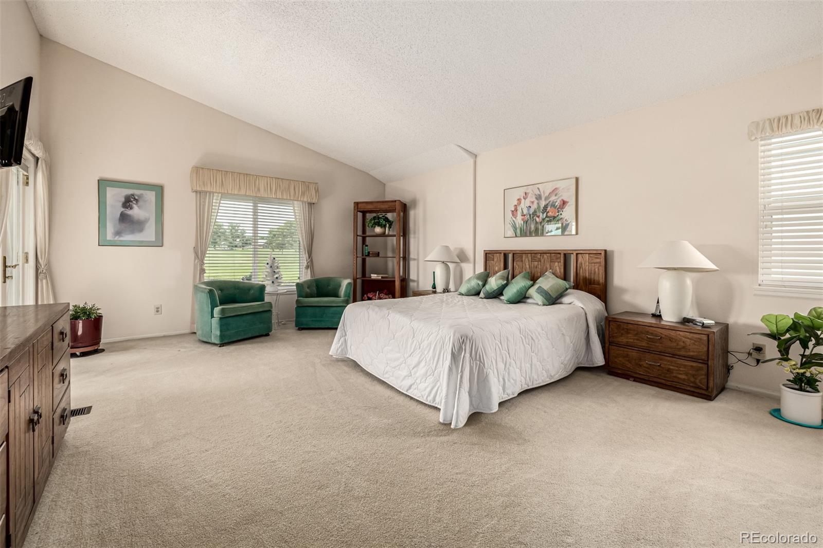 MLS Image #19 for 34  sutherland court,highlands ranch, Colorado