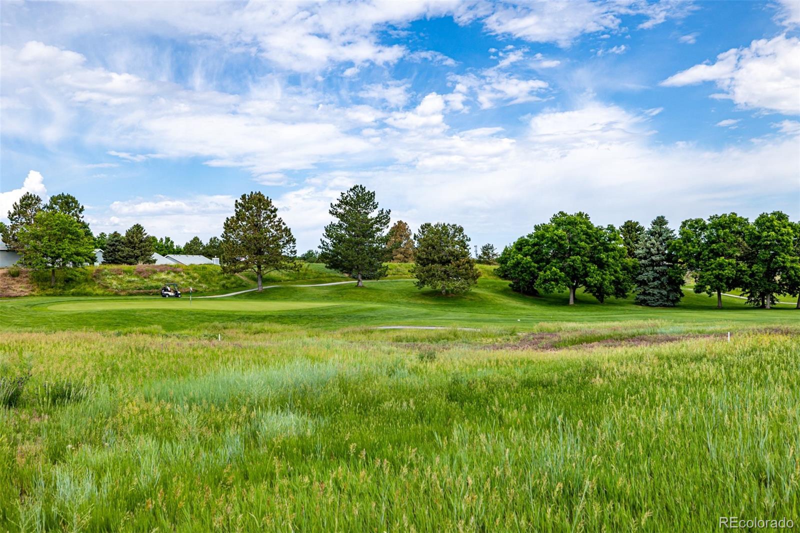 MLS Image #38 for 34  sutherland court,highlands ranch, Colorado