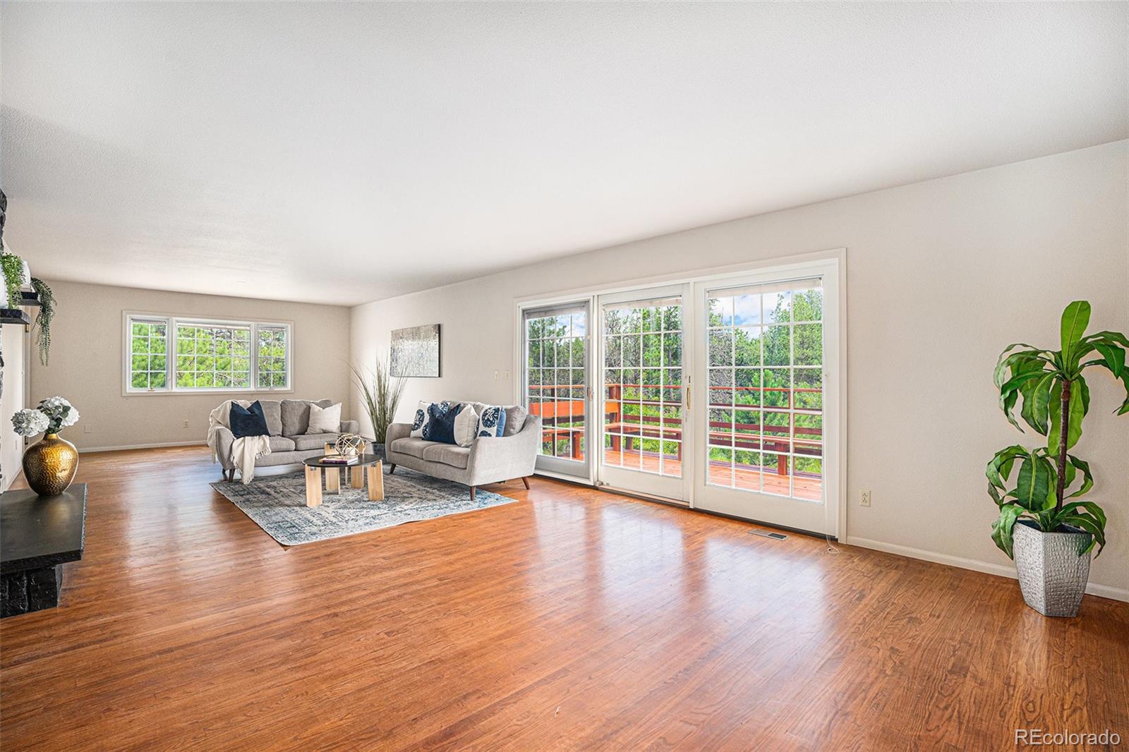 MLS Image #3 for 7780  mcferran road,colorado springs, Colorado
