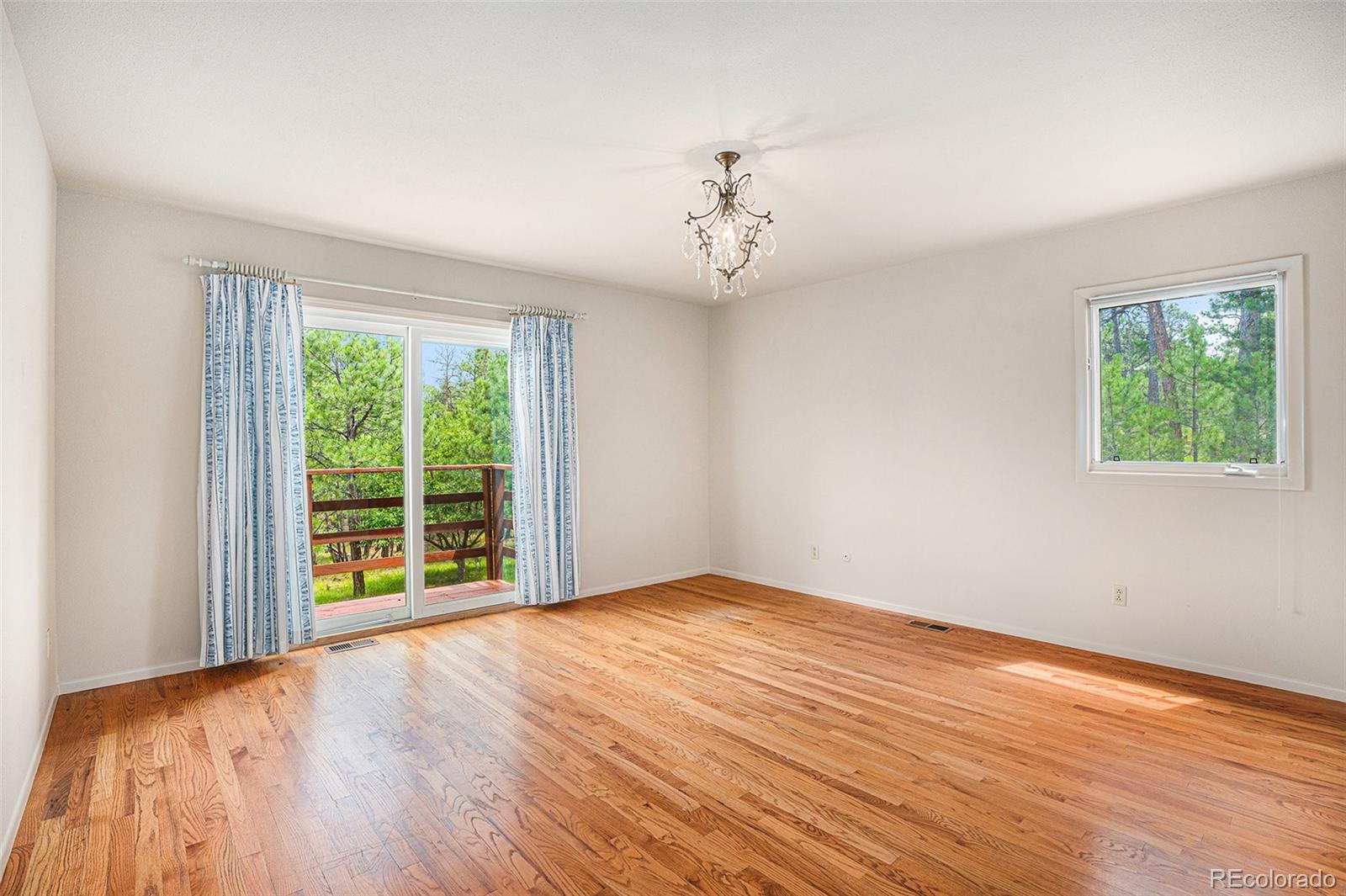 MLS Image #9 for 7780  mcferran road,colorado springs, Colorado