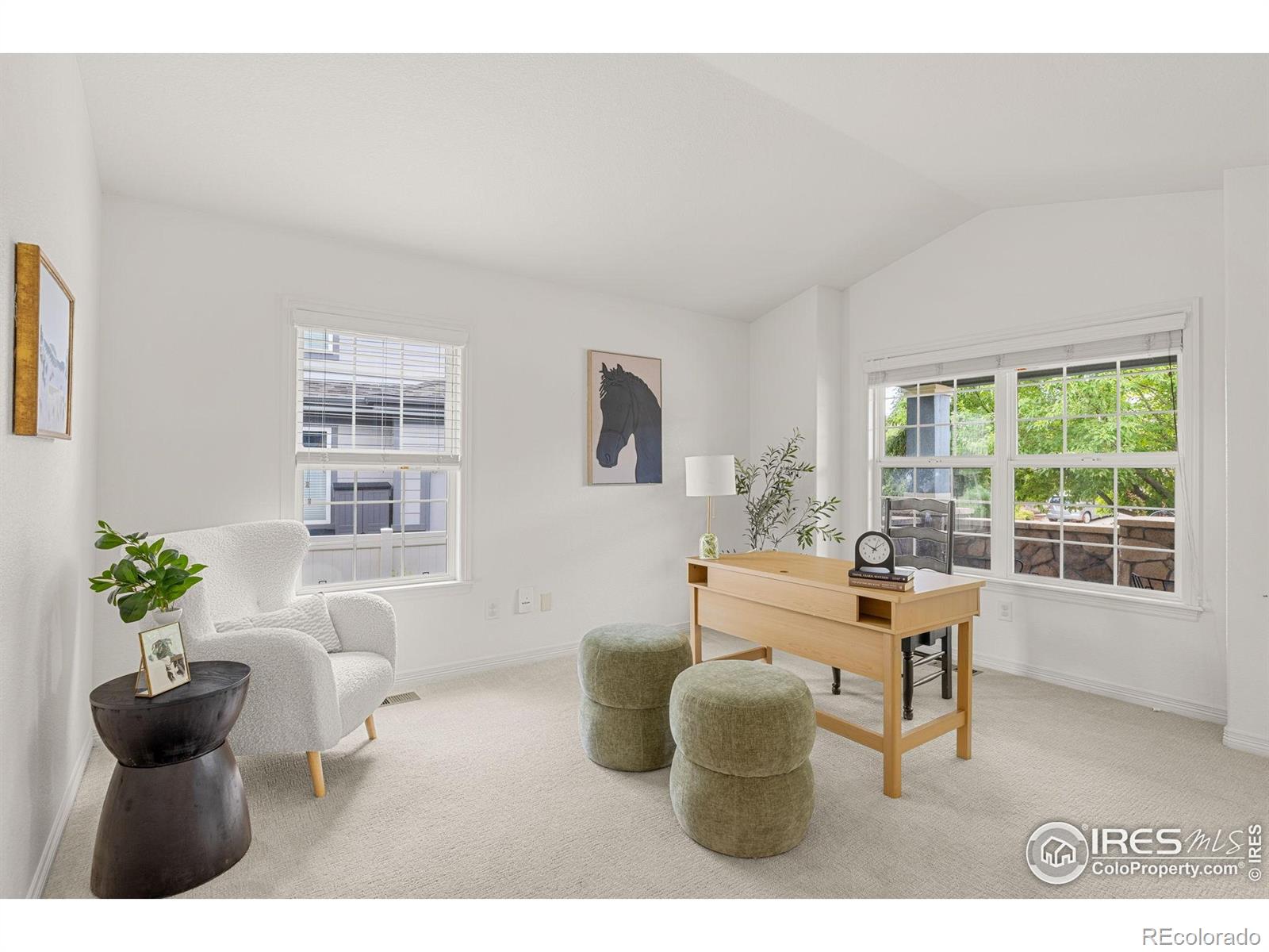 MLS Image #15 for 1409  cannon mountain drive,longmont, Colorado