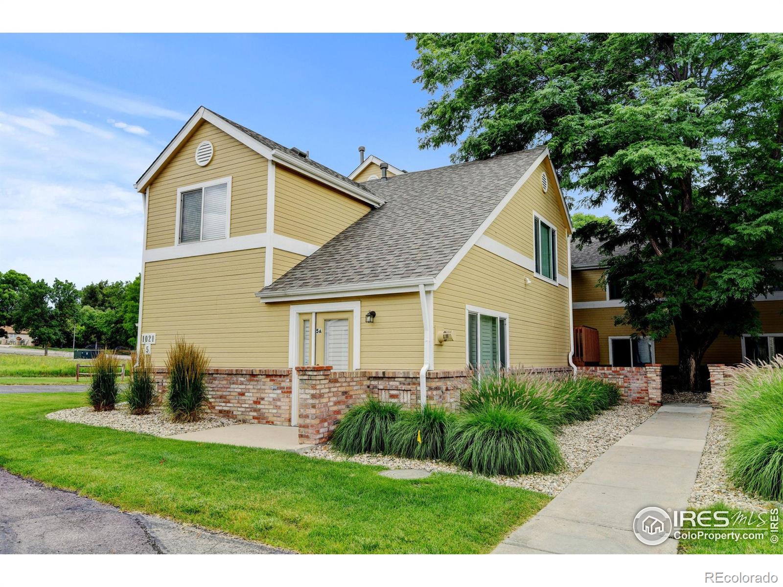 MLS Image #0 for 1021  rolland moore drive,fort collins, Colorado