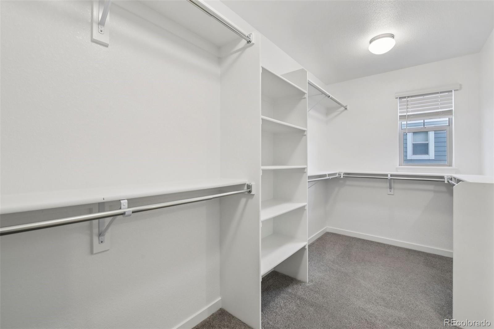 MLS Image #28 for 8396  bijou creek avenue,littleton, Colorado