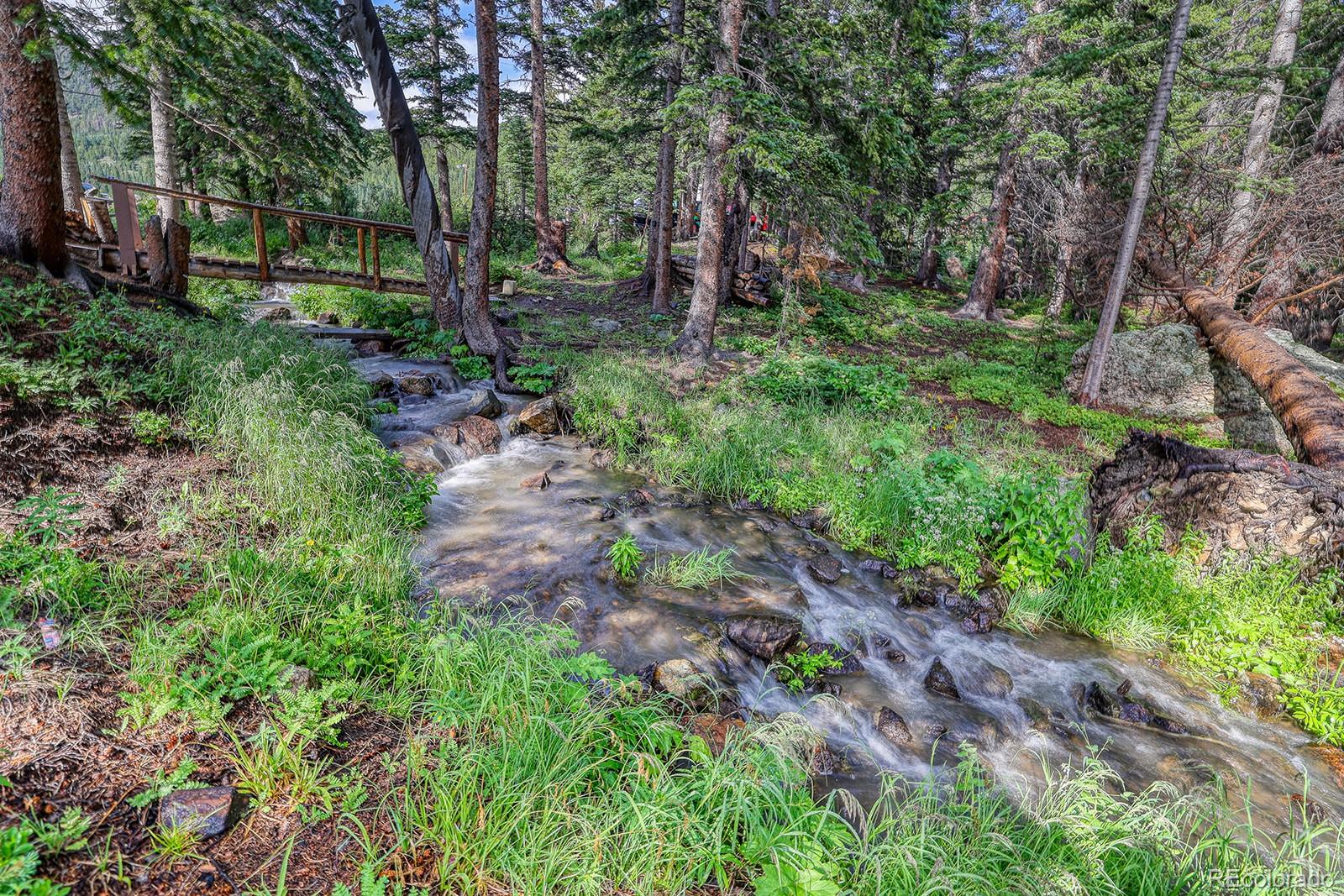 MLS Image #3 for 10  stuart vista court,idaho springs, Colorado