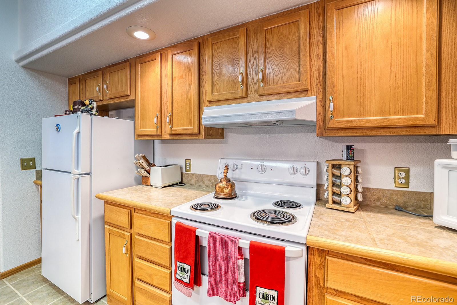 MLS Image #5 for 10  stuart vista court,idaho springs, Colorado