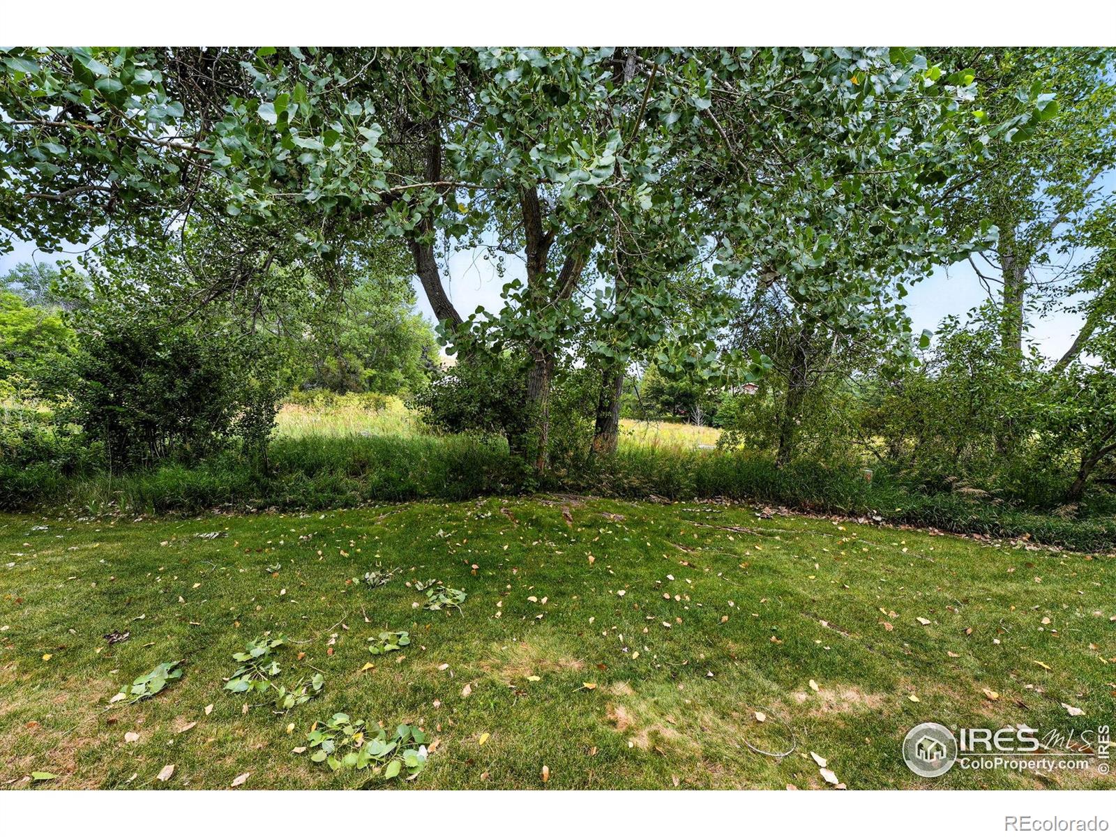 MLS Image #31 for 1187  bear mountain drive,boulder, Colorado
