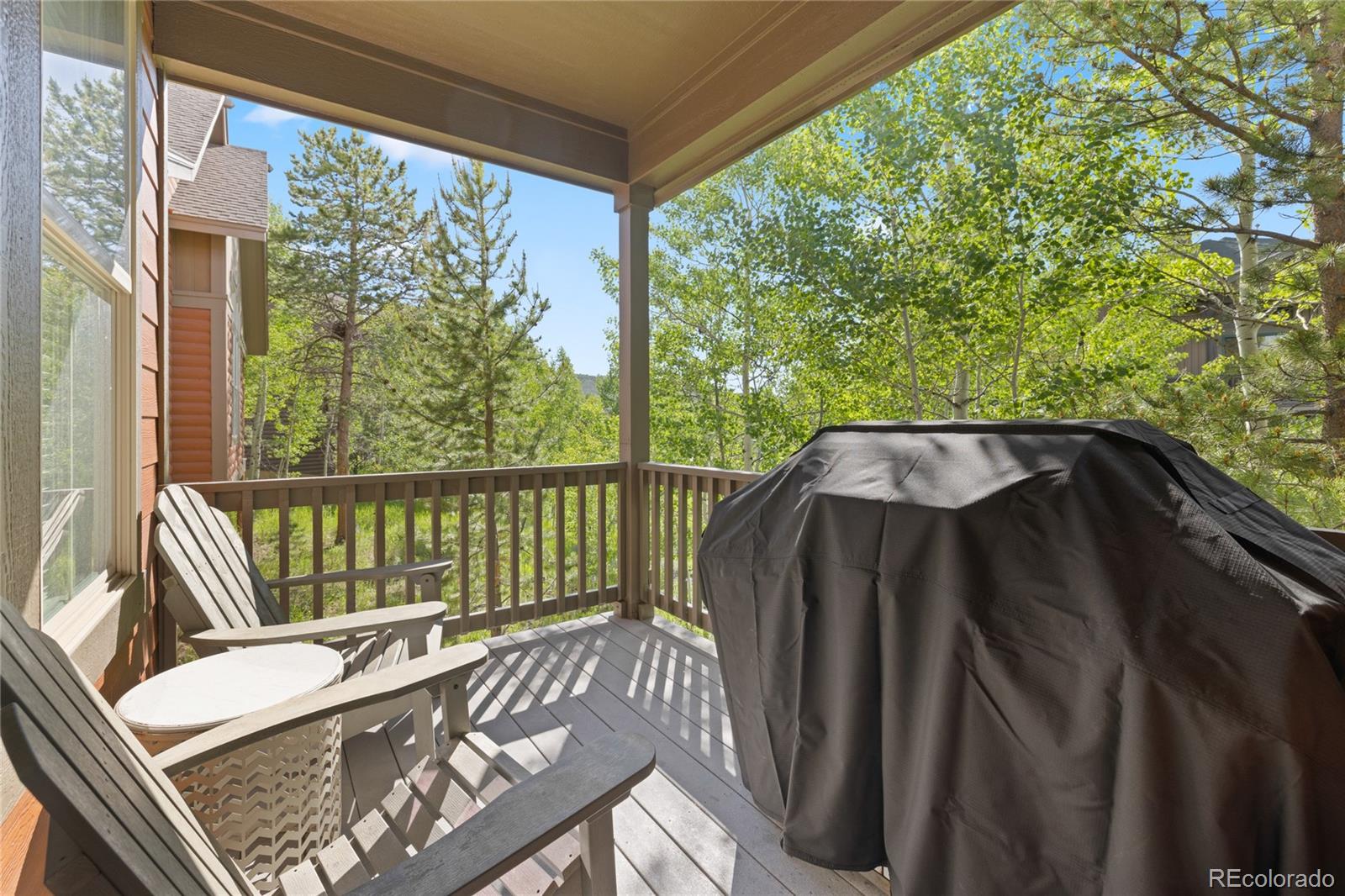 MLS Image #10 for 109  deer track court,granby, Colorado