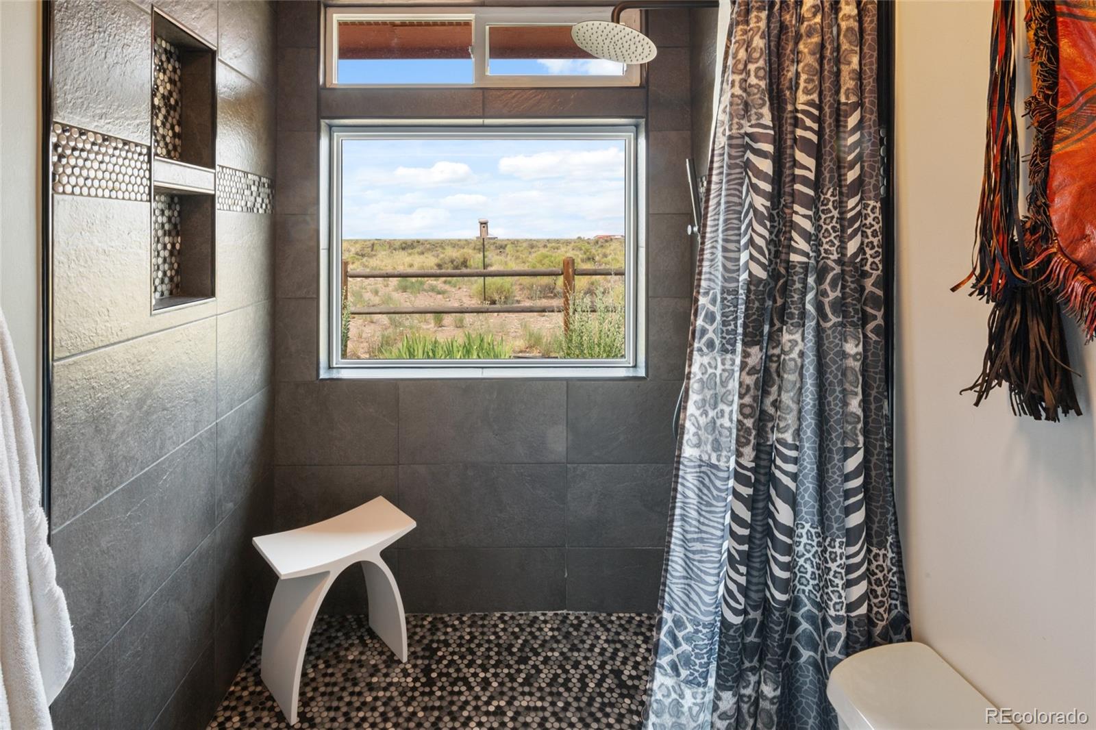 MLS Image #25 for 1175  golden eagle trail,crestone, Colorado