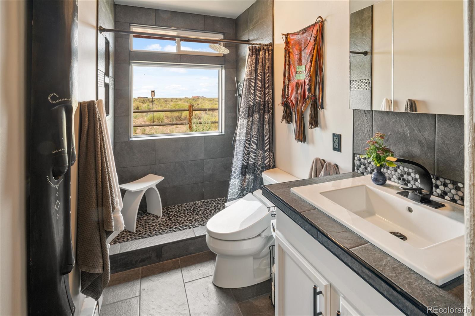 MLS Image #26 for 1175  golden eagle trail,crestone, Colorado