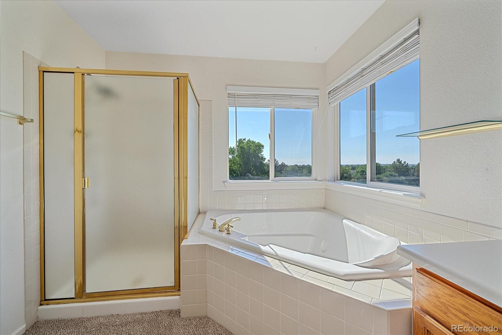 MLS Image #22 for 1320 w 12th avenue,broomfield, Colorado