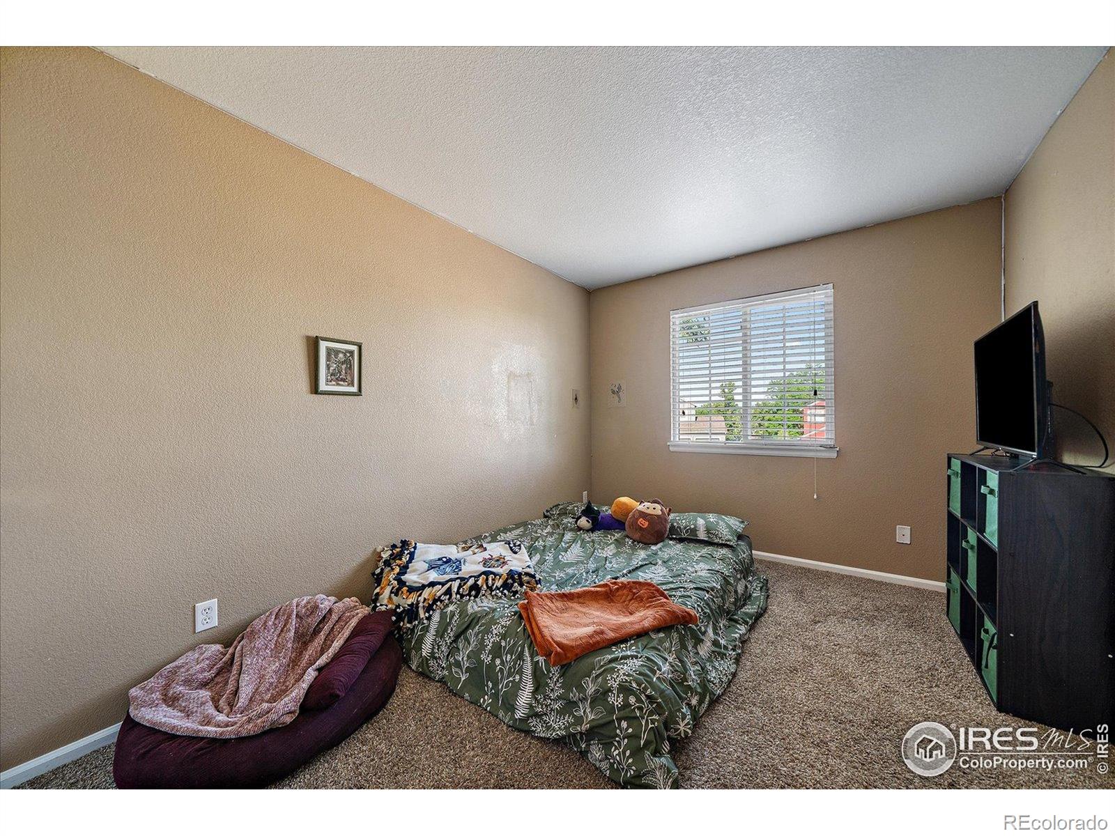 MLS Image #20 for 717  mcclure court,erie, Colorado