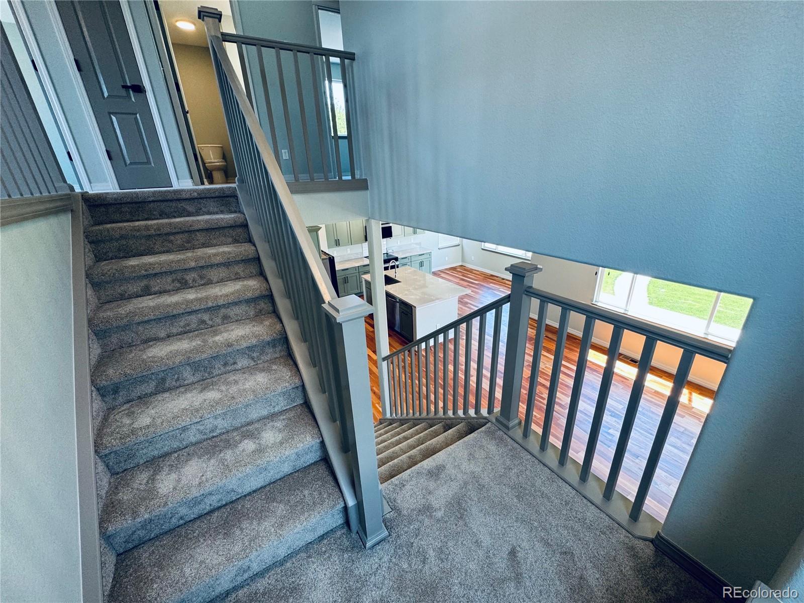 MLS Image #13 for 4642  quandary peak street,brighton, Colorado