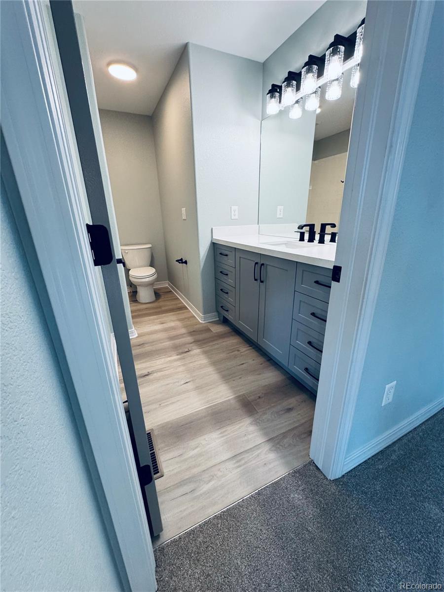MLS Image #21 for 4642  quandary peak street,brighton, Colorado