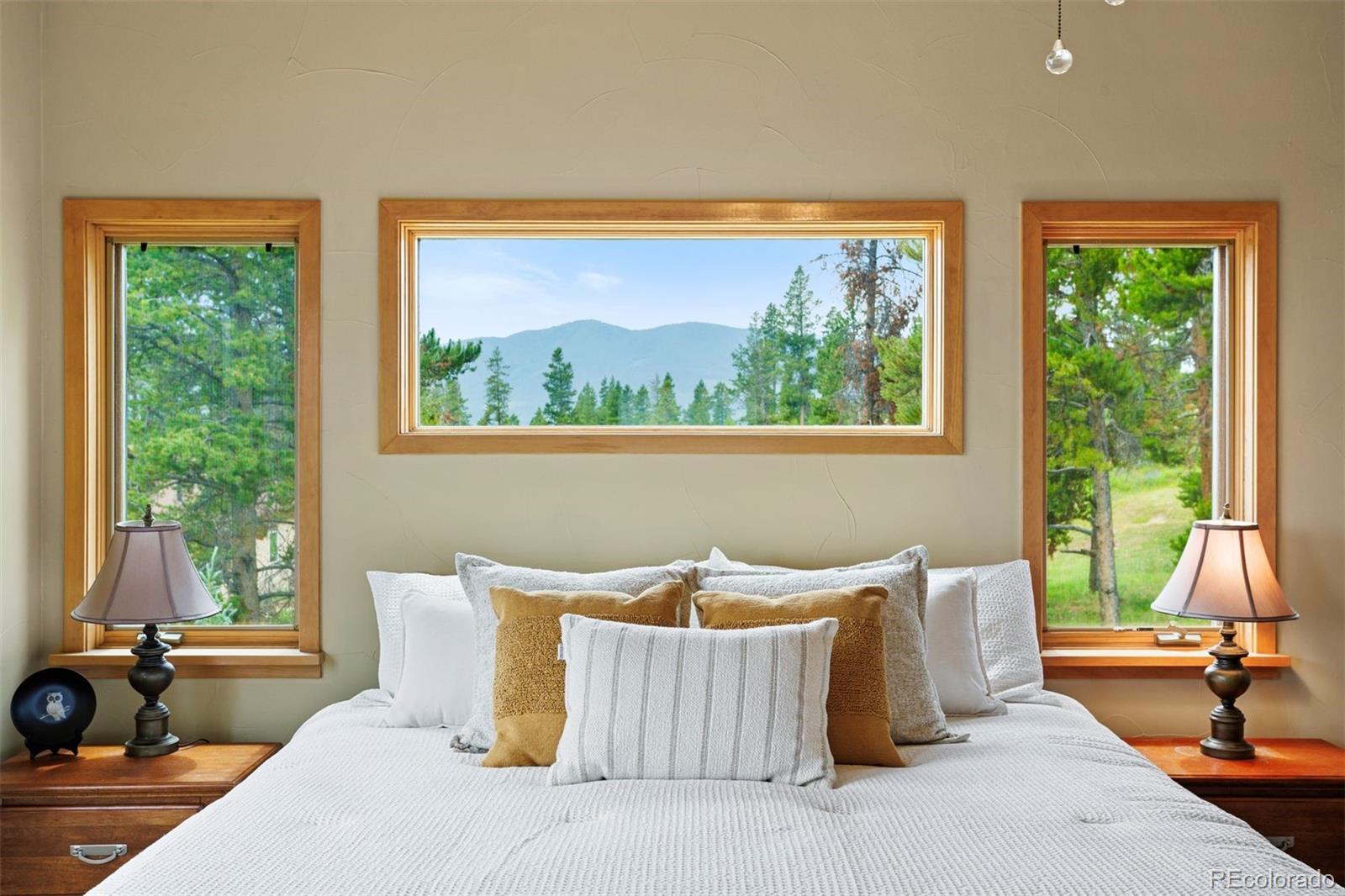 MLS Image #17 for 603  aster drive,tabernash, Colorado